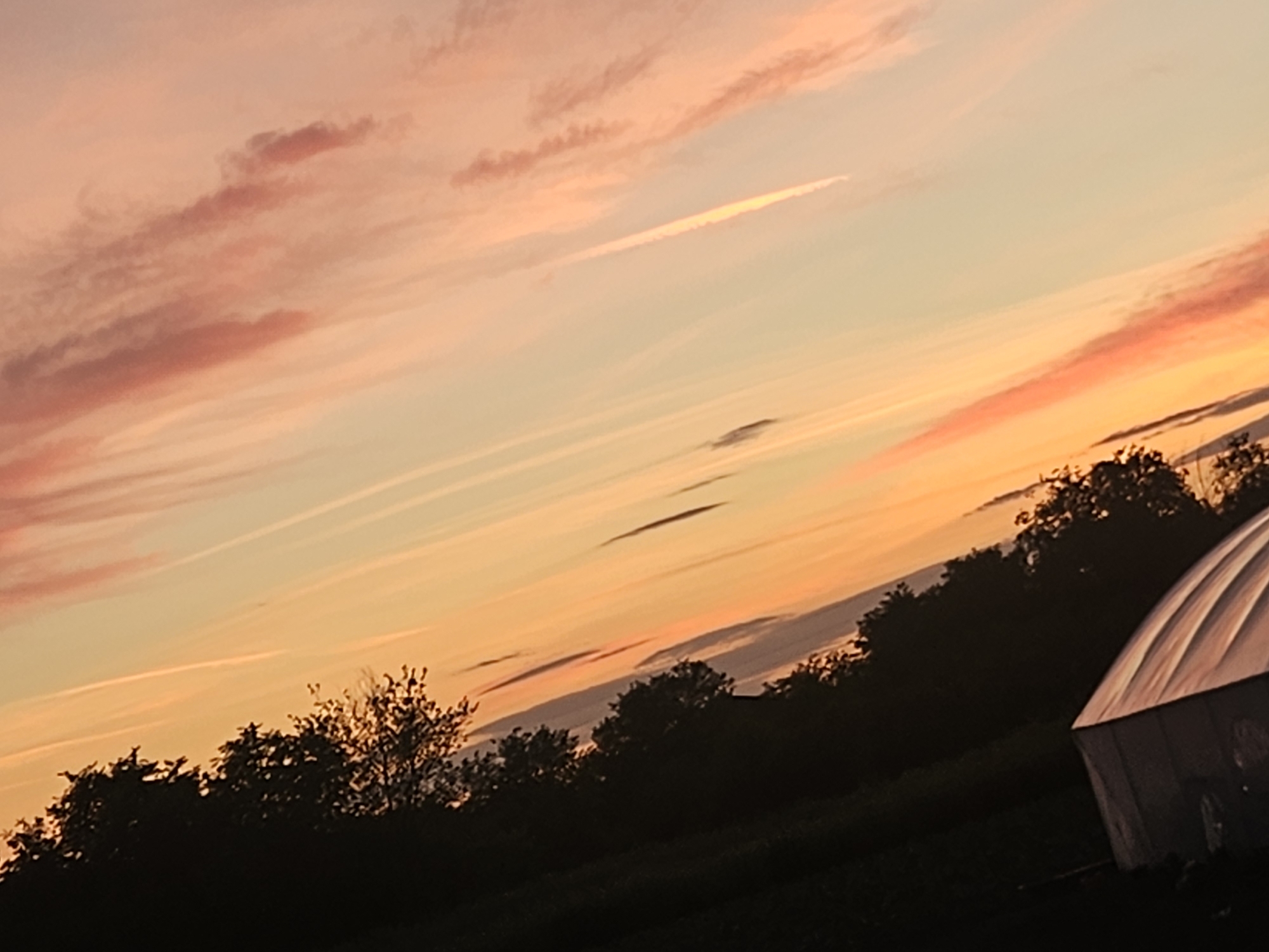 The image shows a sunset scene with pink and orange-hued clouds filling the sky. There are thin, linear cloud formations stretching across the frame. In the foreground, silhouetted trees line the horizon. A greenhouse structure is visible on the right side of the frame. The location is Unknown, Unknown.