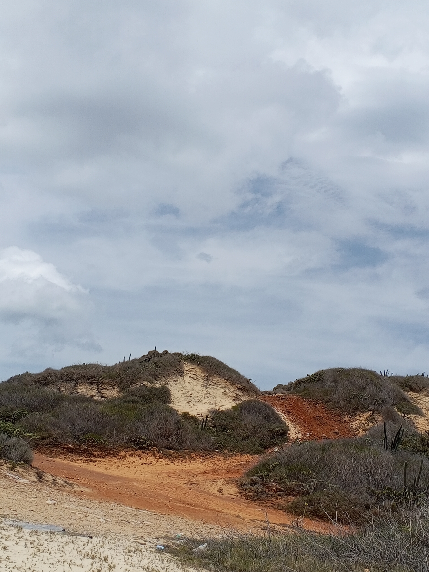 The image shows a landscape in Altagracia, Venezuela, featuring sand dunes covered with low-lying vegetation, including cacti. The dunes have patches of exposed red soil. The sky is overcast with grey and white clouds. In the foreground, there's evidence of human presence with some litter scattered on the sand. No people are visible in the scene.