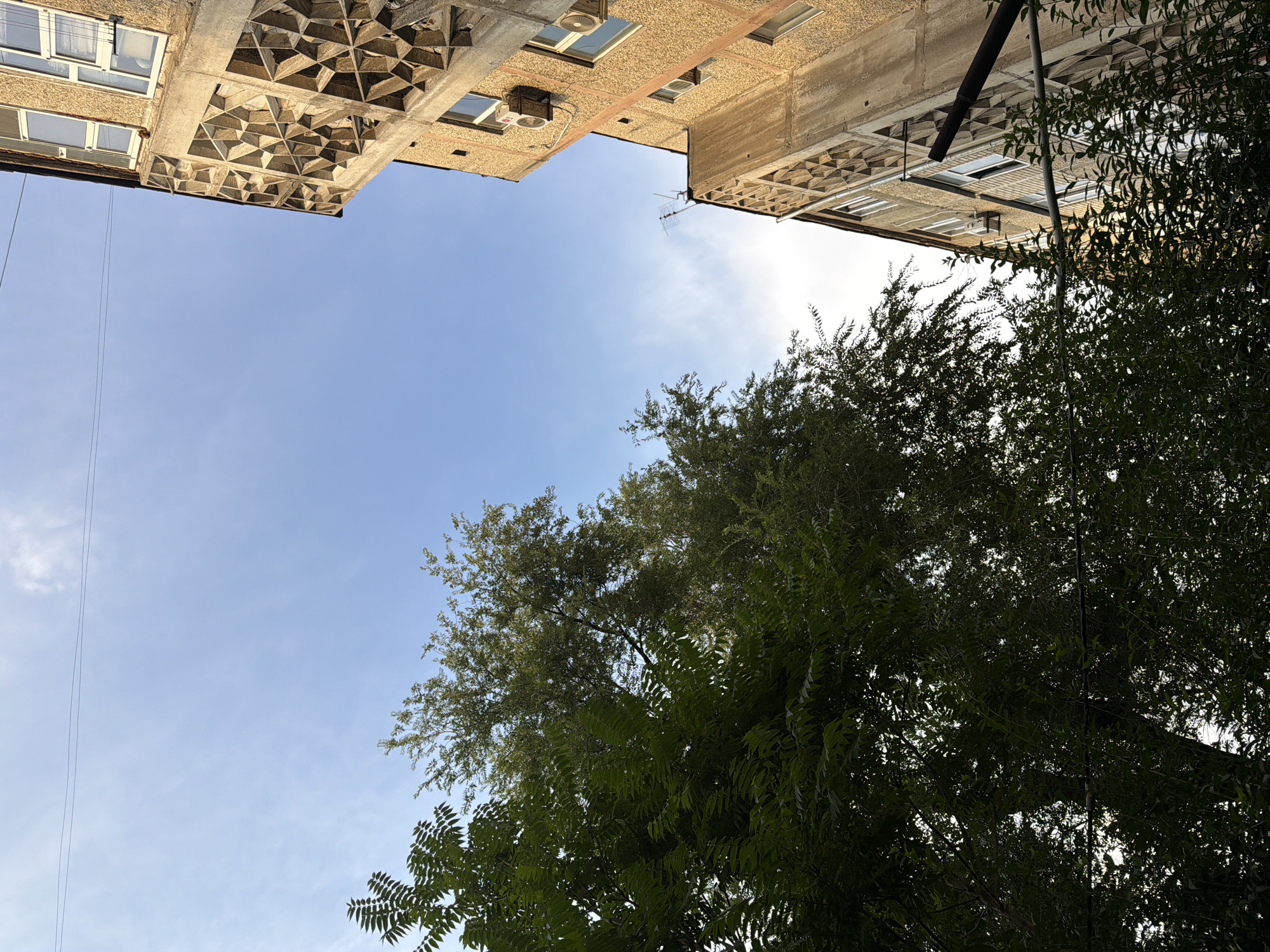 This low-angle, wide shot captures an upward view of an urban scene. Two brutalist-style apartment buildings with textured concrete facades and repeating geometric patterns on their overhangs dominate the upper portion of the frame. Numerous windows, some with air conditioning units installed, are visible on the buildings. A black pipe runs vertically along the right-hand building, and an antenna is visible on the roof of the building on the right.
In the foreground and lower right of the frame, lush green foliage from trees partially obscures the buildings and sky. The leaves are dense and varied in shape, suggesting a mix of tree types. A thin wire extends diagonally from the upper left towards the center of the image.
The sky is a clear, pale blue, with a few wispy white clouds visible, indicating a daytime setting, likely late afternoon due to the warm lighting on the buildings. The overall mood is one of everyday urban life, with a hint of nature's encroachment on the built environment.
No people are visible. There is no discernible text in the image. The location context provided is Shymkent, Kazakhstan.