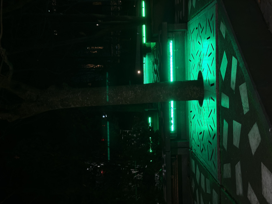 An eerie night scene reveals a tree trunk extending horizontally toward a wall. The wall is dark, adorned with a geometric pattern of light and dark shapes, and illuminated by vertical green neon lights. The lights cast reflections below, suggesting water. The background is engulfed in darkness, with faint hints of buildings.
