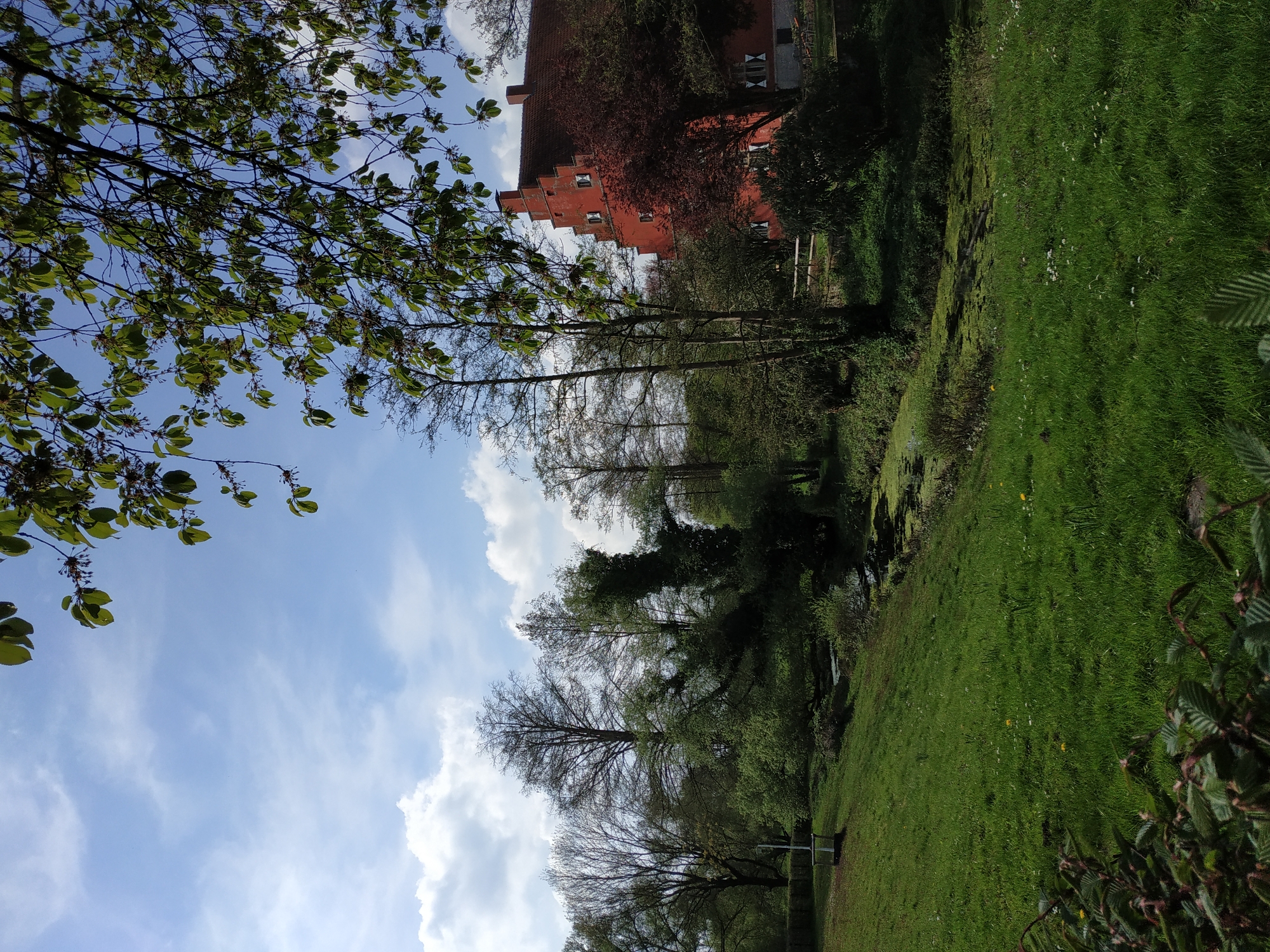 This vibrant landscape image captures a serene outdoor scene, likely a park or garden setting, with an old European-style building in the background.
The main subject is a striking red-orange building on the right side of the image, featuring a distinctive stepped gable roofline. Several small, rectangular windows with white frames or shutters are visible on its facade. The building is partially obscured by trees, suggesting it is nestled within a green environment.
The foreground and mid-ground are dominated by lush green grass, dotted with small white and yellow wildflowers, possibly daisies and dandelions. A variety of trees are scattered throughout the scene. In the immediate foreground, to the left, are branches with fresh green leaves, suggesting spring or early summer. Further back, a line of deciduous trees, some still appearing bare or sparsely leaved and others full of foliage, separates the grassy area from a slightly lower, perhaps water-filled, bank or stream.
The sky above is bright blue with scattered, fluffy white cumulus clouds, indicating clear and pleasant weather. The overall lighting suggests it is daytime, likely morning or afternoon. No people or specific activities are visible, contributing to a peaceful and tranquil atmosphere. The architectural style of the building, particularly the stepped gable, strongly hints at a Northern European location, consistent with Dortmund, Germany. No visible text is present in the image.