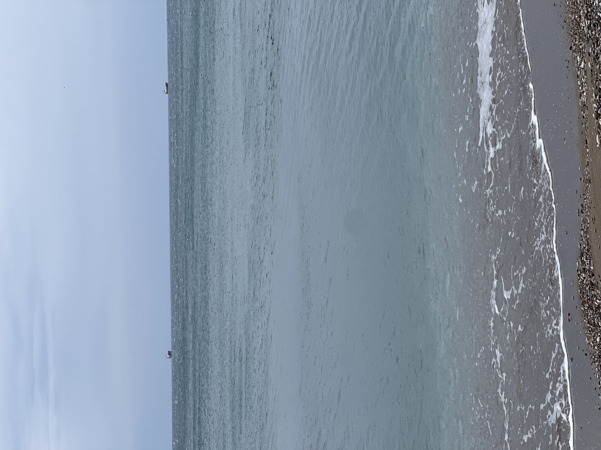 The image depicts a shoreline view in Šušanj, Montenegro. A sandy beach transitions into a pebble-strewn area. The Adriatic Sea extends into the distance, its surface disturbed by gentle waves creating a foamy edge along the beach. The sky above is overcast. Two distant objects, potentially boats or structures, are visible on the horizon. No people are visible.