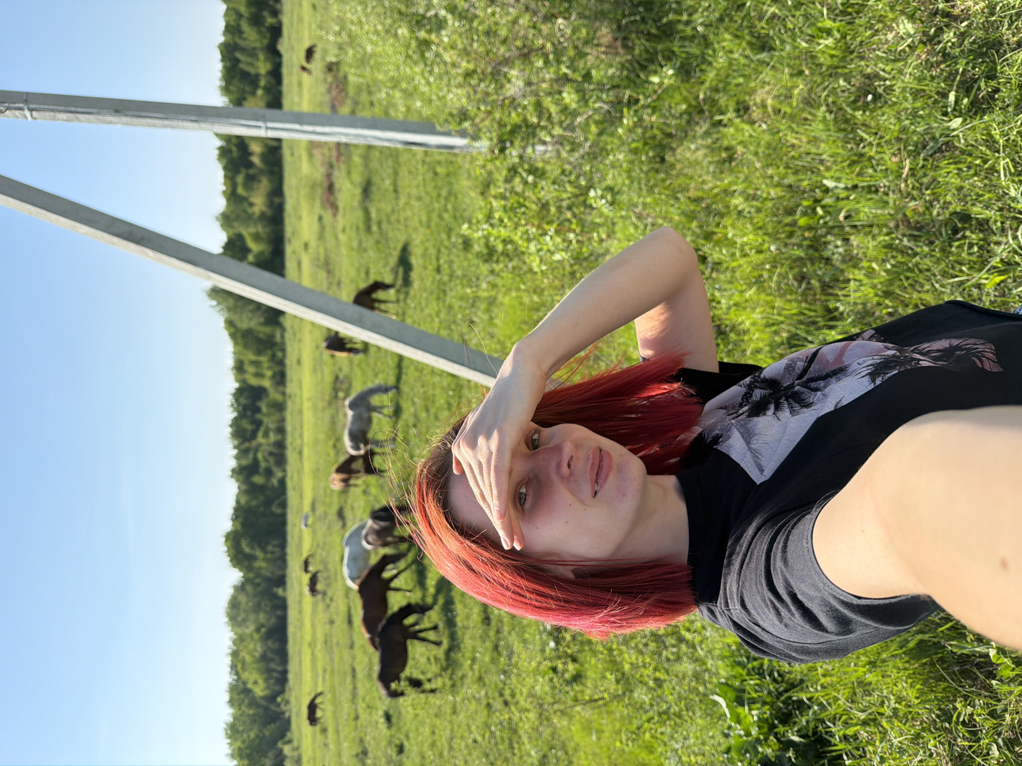 A selfie image depicting a woman with reddish-orange hair, wearing a dark t-shirt, lying on green grass. She is shielding her eyes with her hand. In the background, a field is populated with several brown and white horses grazing. A metal utility pole is visible on the left. The scene is bathed in sunlight, suggesting it is daytime. It is highly unlikely this image can be traced back to Noviy, Russia with just this visual information.