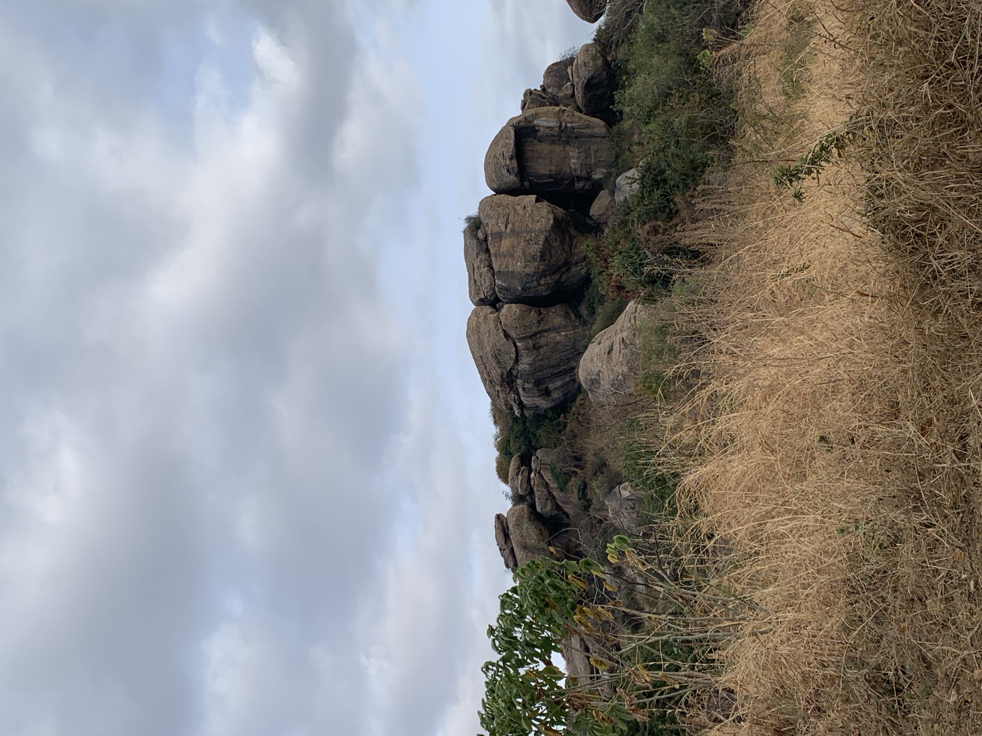 The image depicts a natural landscape dominated by large, weathered rock formations that form the crest of a hill. The rocks are a reddish-brown hue and appear to be composed of massive, rounded boulders stacked and jutting out at various angles. They are partially covered by sparse, green vegetation and dry, brown grasses that grow on the slopes. In the foreground, tall, dry grasses create a textured layer, obscuring the ground. To the left, a leafy green tree stands out against the muted tones of the landscape. The sky above is overcast with a mix of grey and white clouds, suggesting a possibly humid or a cloudy day. The scene is devoid of human presence or any man-made structures, indicating a remote, natural environment. This type of terrain is characteristic of the granite outcrops found in and around the city of Dodoma, Tanzania, often forming hills and weathered rock formations.