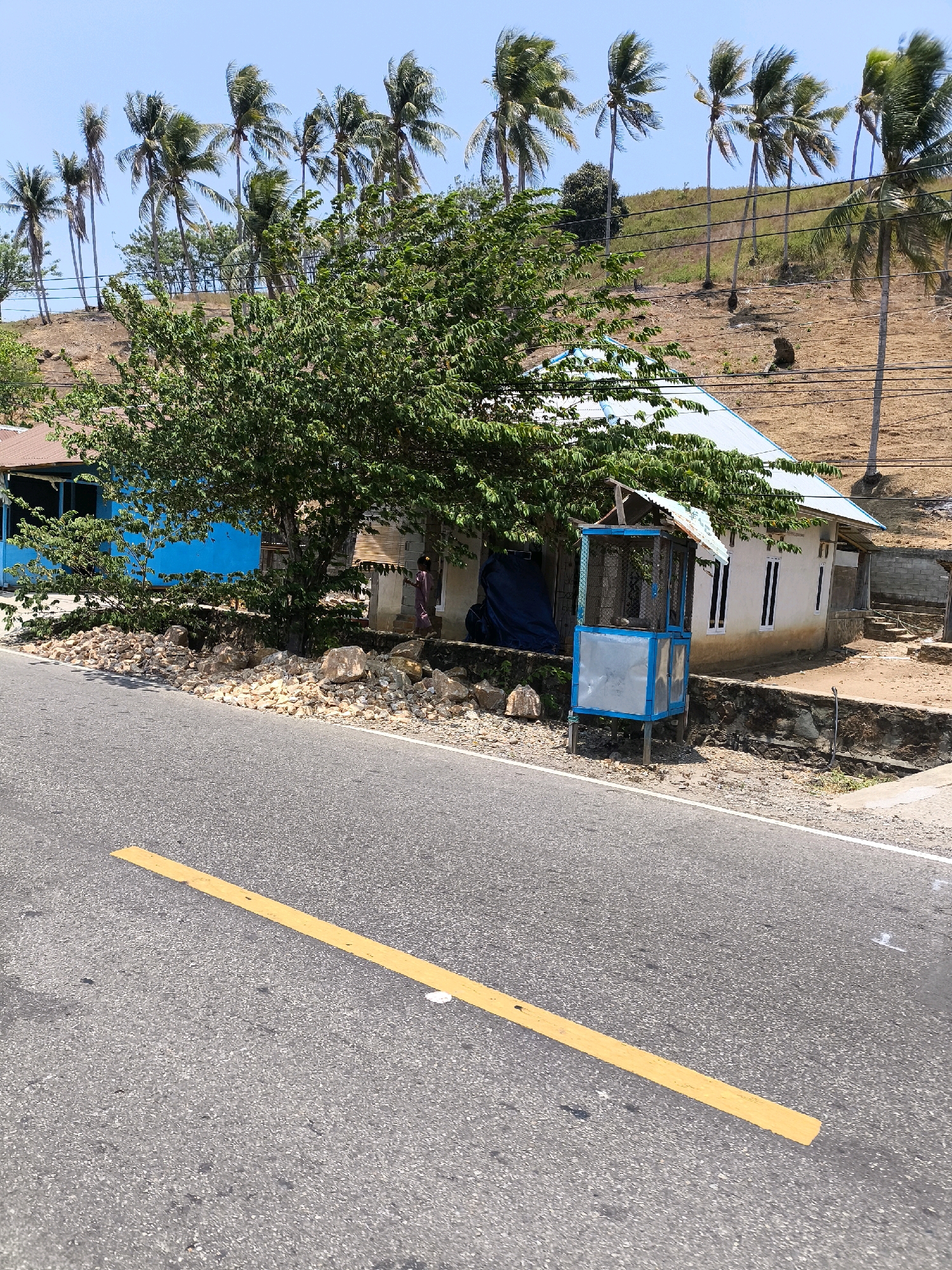 This is a photograph of a road with a yellow line in the foreground, running diagonally across the lower half of the frame. The road is asphalt and appears to be in a rural or semi-rural area. To the right of the road is a small, white house with a light blue roof. In front of the house is a small, blue and silver kiosk or shelter. A large green tree partially shades the area between the road and the house. Behind the house, a grassy, brown hill rises, dotted with several palm trees. The sky is clear and blue. A person wearing a light purple garment is visible standing in the doorway of the house. There is a pile of large rocks along the edge of the road near the house. The scene is likely located in Unknown, Indonesia, given the presence of palm trees and the style of the buildings.