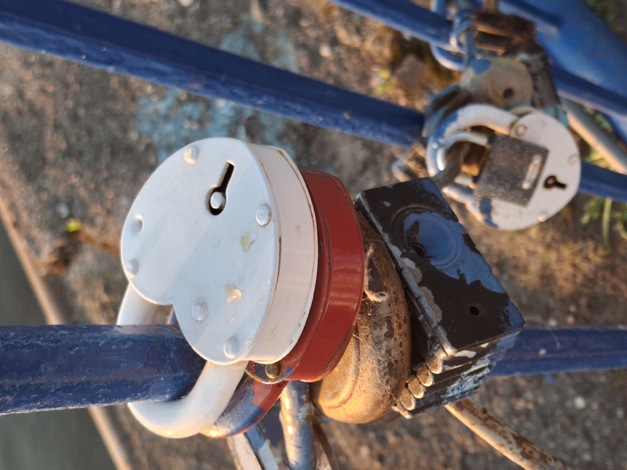 The image shows a close-up of several padlocks attached to a blue metal railing. The padlocks are of various shapes and colors, including a heart-shaped white padlock, a red circular padlock, a rusty padlock, and a black rectangular padlock. The scene is bathed in warm sunlight, suggesting it might be either sunrise or sunset. Based on the context and the locks being attached to a bridge, this is likely a "love lock" location, where couples attach locks to a public structure to symbolize their commitment. While I cannot definitively confirm the exact location, "love locks" are commonly found in many cities worldwide, including, as specified, Chaikovsky, Russia.