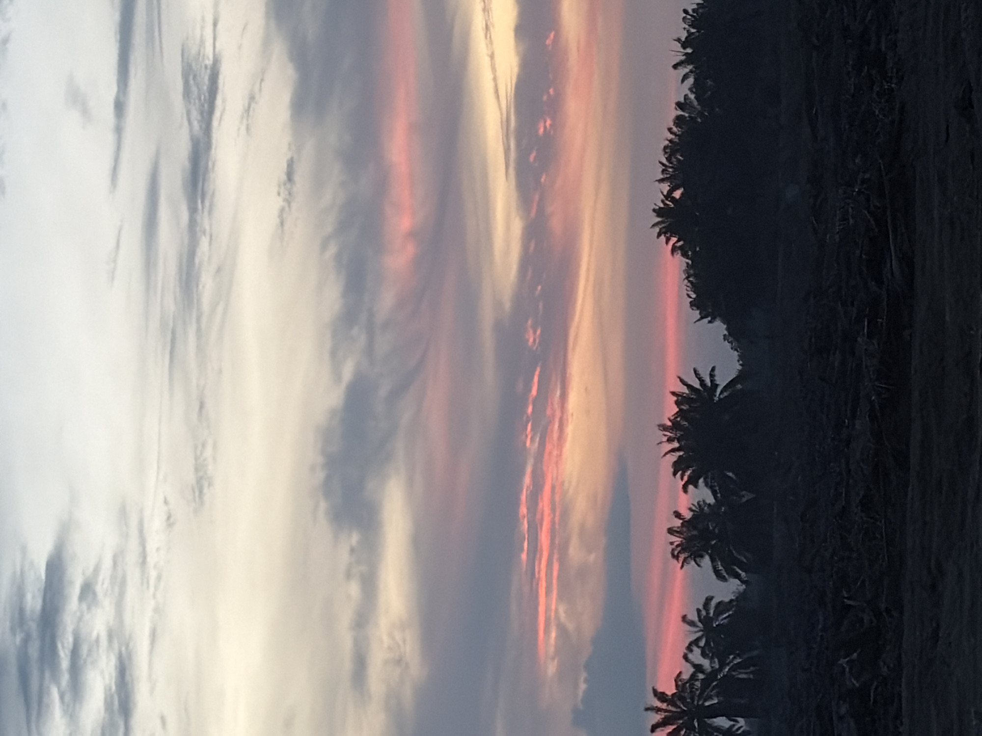 The image depicts a colorful sky at sunset, likely taken in or near Simpangempat, Indonesia, based on the tropical vegetation present. The sky is filled with horizontal cloud formations, ranging in color from light blue-gray to shades of pink, orange, and yellow near the horizon. Along the right side of the image is a row of silhouetted palm trees and other dense vegetation. The bottom right corner is mostly dark, obscuring any details of the ground or lower landscape. The image is oriented vertically, suggesting it was taken with a mobile device. No people or other specific objects are visible. The predominant action is the setting sun painting the sky with vivid colors.