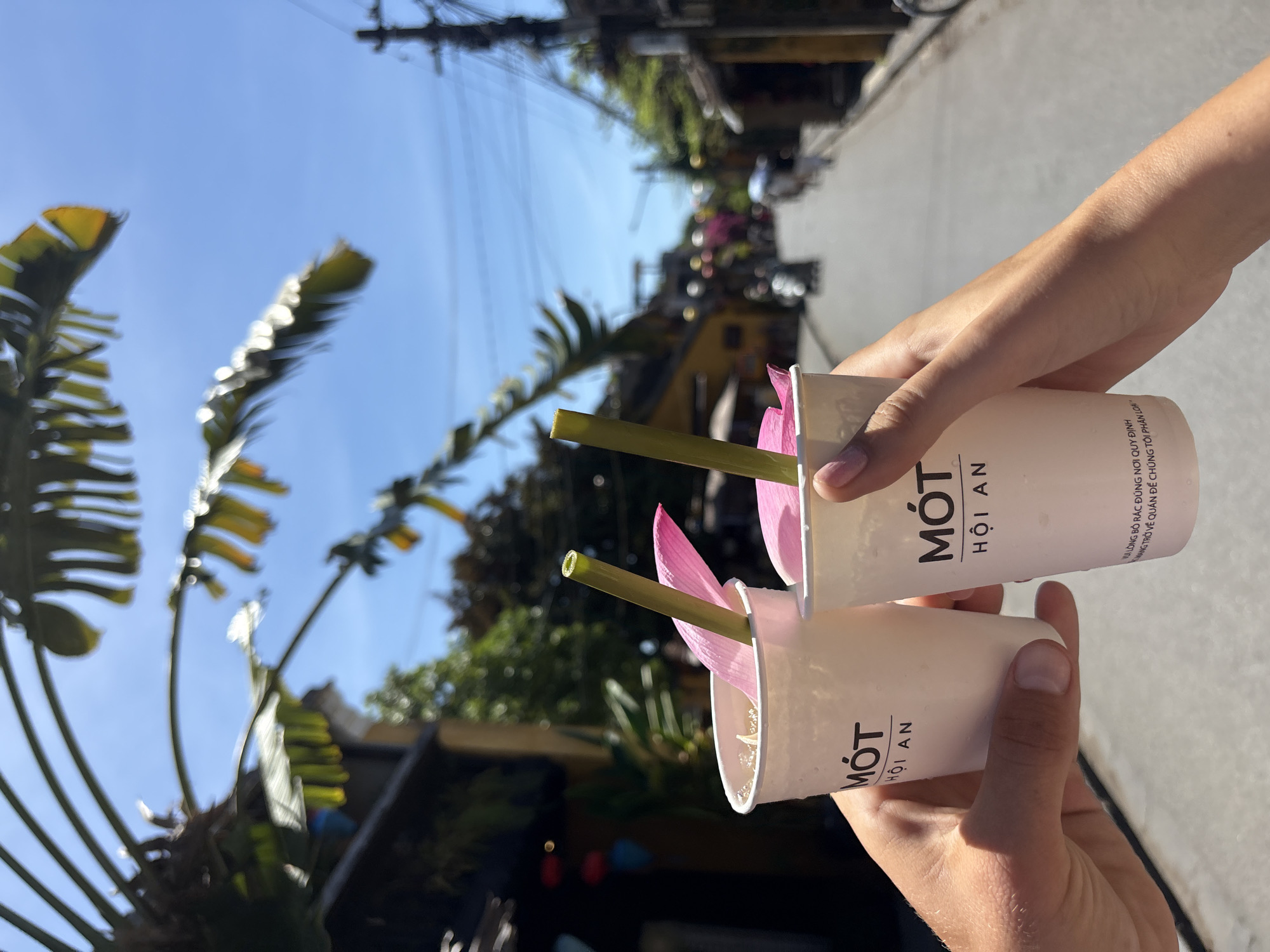Two white paper cups with the logo "MÓT HỘI AN" are held up in a celebratory toast. Each cup contains a light-colored beverage, a green straw, and a pink lotus petal. The cups are held by two individuals, whose hands are visible in the foreground. In the background, a narrow street lined with yellow buildings is visible. Trees with large leaves are overhead, and the sky is clear blue. The scene appears to be in Hội An, Vietnam, suggested by the brand name on the cups.