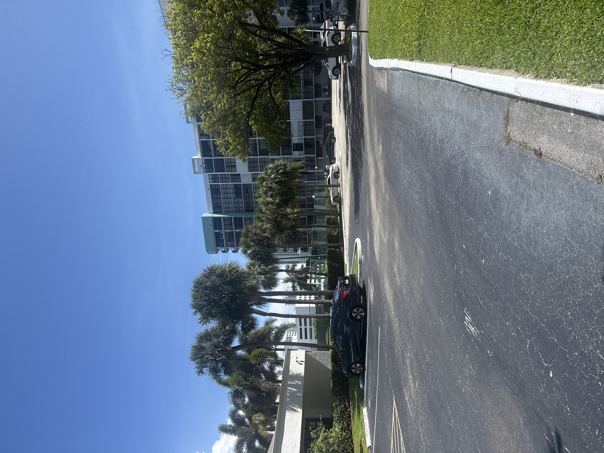 The image shows a residential street in Hallandale Beach, Florida. The street is asphalt and runs along the side of a building complex with palm trees and manicured lawns. A dark-colored car is parked in a designated spot on the right side of the street. Other cars are parked further up the street along the building. The sky is clear and blue.