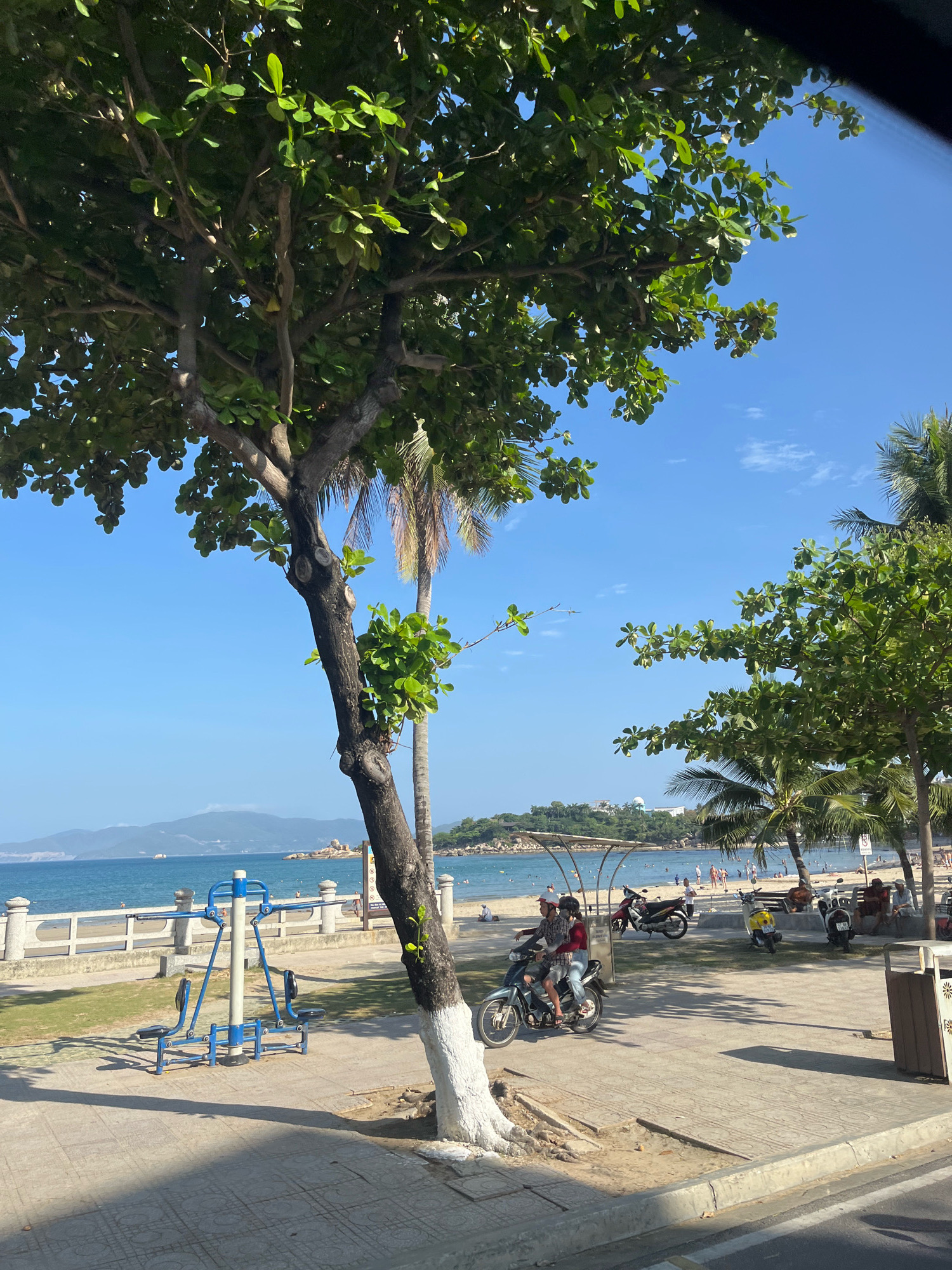 A beach scene in Nha Trang, Vietnam, under a clear blue sky. In the foreground, a large tree with lush green leaves partially obscures the view. To the left, outdoor exercise equipment, painted blue and white, is set up on a paved area. Further back, a walkway with a stone railing separates the paved area from a sandy beach. Several people are visible on the beach, some swimming or sunbathing. A few motorbikes are parked along the walkway, and two individuals are riding one motorbike, facing left. In the background, palm trees line the beach, and distant hills form the horizon. The overall impression is of a sunny, active day at a seaside resort.