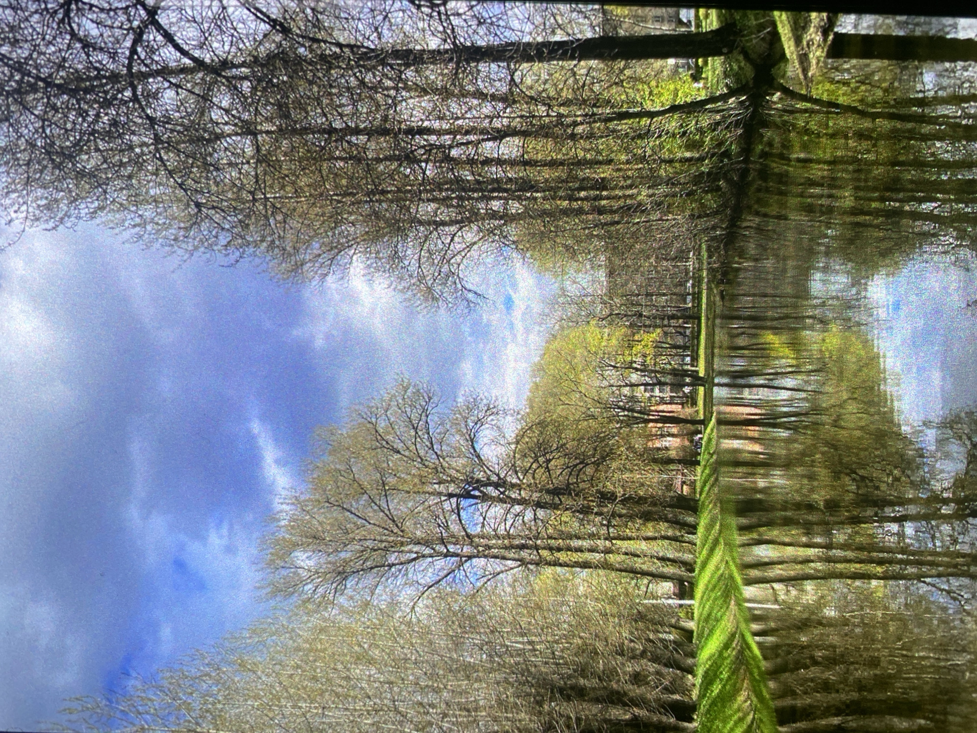The image shows a canal lined with trees, likely in Saint Petersburg, Russia. The trees are reflected in the water, creating a mirror-like effect. The sky is visible above the trees, with blue patches and some clouds. The photo appears to be taken on a bright day with calm water. A building is visible behind the trees. There are no visible people.