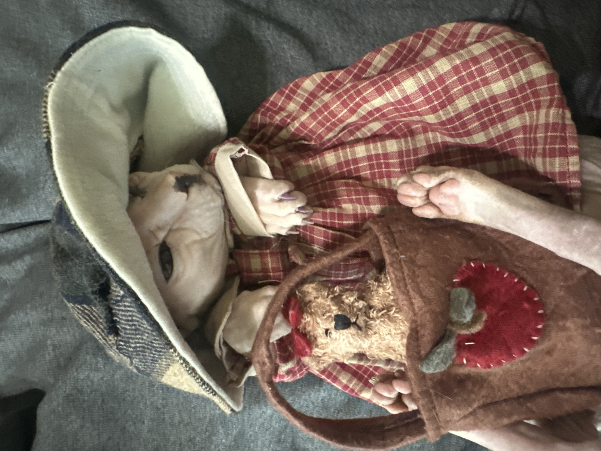 The image depicts a hairless cat wearing a red and white checkered dress and a plaid hat. The cat is lying down, cradling a small brown teddy bear in a brown fabric bag adorned with a red felt apple. The cat's paws are visible, with pink paw pads. The background appears to be a gray, textured surface, possibly a blanket or upholstery. There is no discernible location in the city of Togliatti, Russia, visible in the image.