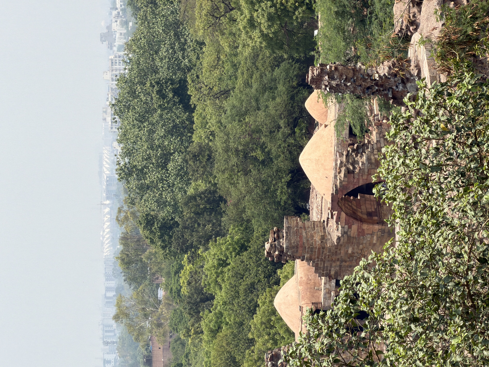 A wide landscape view captures ancient stone architecture nestled among dense trees, with a distant city skyline under a hazy sky. On the right, prominent historical structures crafted from earthy-toned stone, possibly reddish-brown and grey, feature multiple small domed roofs, likely chhatris, and sections of crumbling walls and arched openings. These ruins are heavily integrated with the surrounding environment, with vibrant green foliage and tree branches extending into the frame from the right foreground and covering large areas of the midground.
To the left, a modern urban landscape stretches horizontally across the horizon. Numerous buildings form a distant skyline, appearing somewhat blurred and muted by a pervasive atmospheric haze that merges with the pale sky. The scene is illuminated by bright daylight. There are no visible people or discernible text. The image presents a blend of historical heritage and natural growth against a backdrop of contemporary urban development, characteristic of areas around Delhi, India.