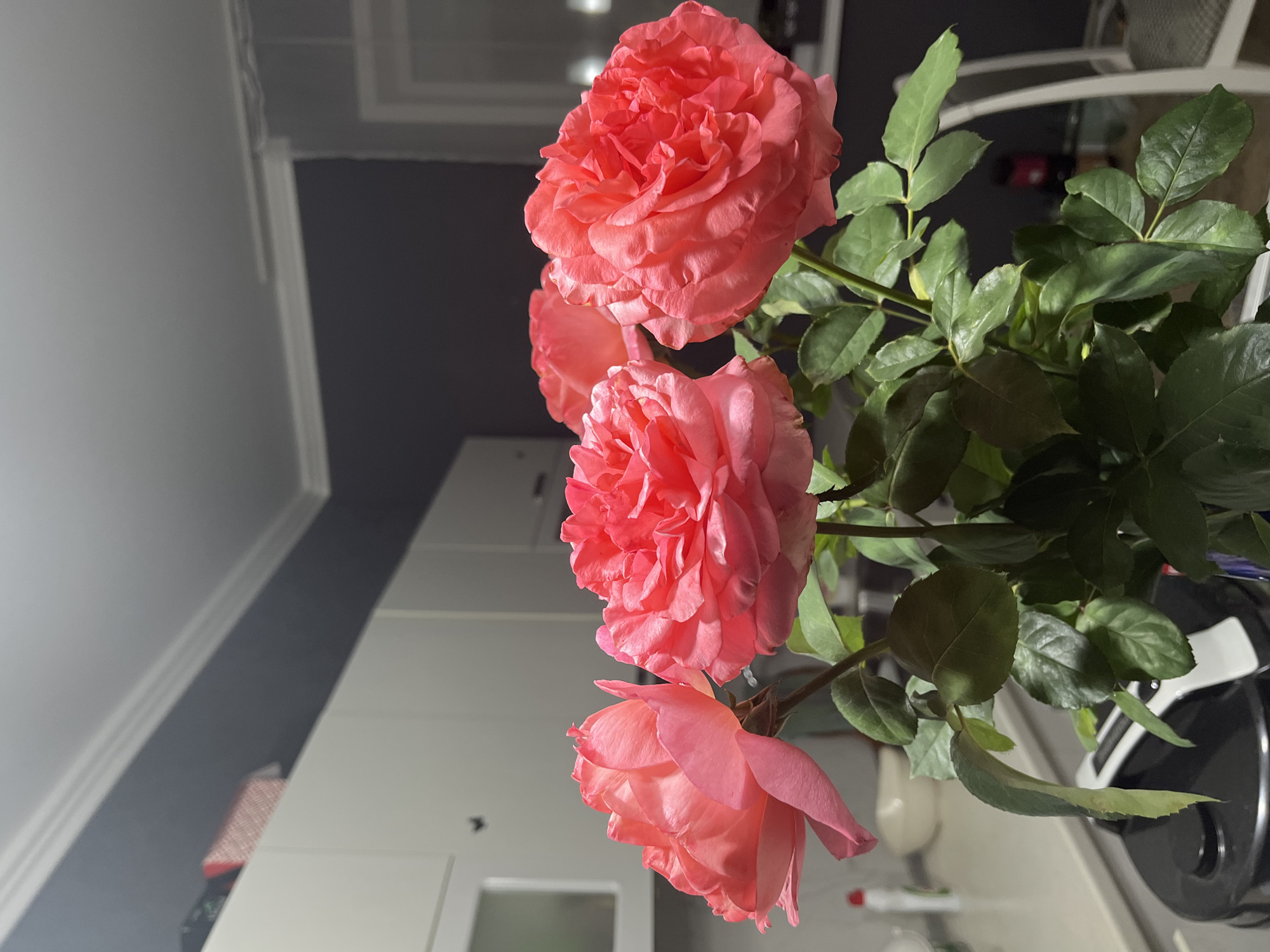 A bouquet of pink roses is displayed in a dark interior setting. The roses, with their full, layered petals, are the primary focus. The background features a kitchen or dining area with white cabinets, dark gray walls, and a white ceiling with crown molding. A white chair is visible on the right side of the image. The lighting suggests an indoor environment, possibly at night. There are no people present in the image. The image does not provide any specific information to indicate a location in Saratov, Russia.