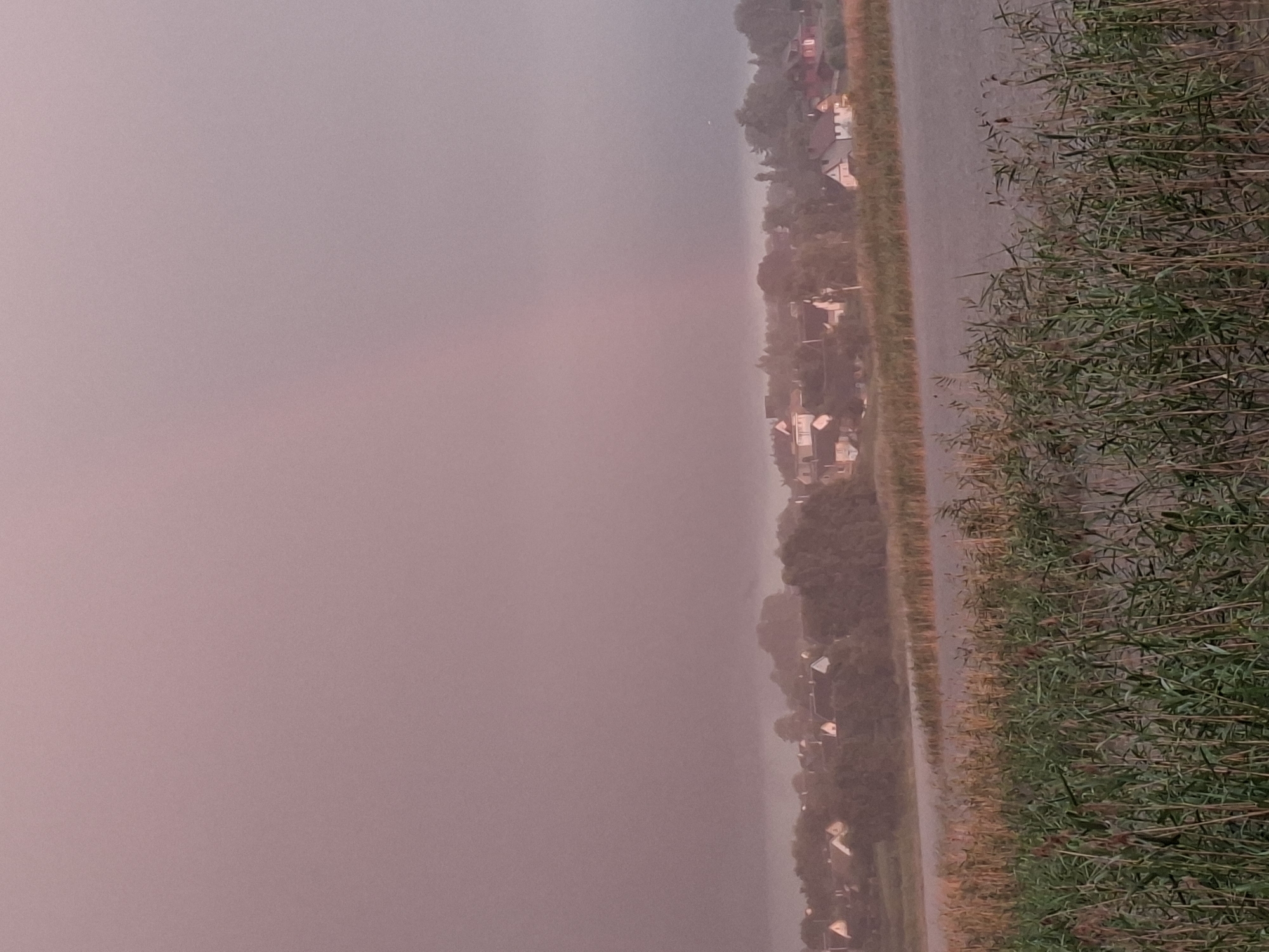 The image depicts a serene landscape in Слабодкаўскі сельскі Савет, Belarus, likely during a hazy dawn or dusk, with a soft, diffused light casting a pinkish hue over the scene. In the foreground, dense green reeds and stalks line the edge of a calm body of water. Across the water, a village is nestled among trees, with several houses visible, their roofs and walls subtly illuminated. The background features a misty, atmospheric horizon, with trees and rolling hills partially obscured by the haze. A faint, almost imperceptible rainbow can be seen arcing across the sky in the upper right portion of the frame. The overall impression is one of tranquility and natural beauty.