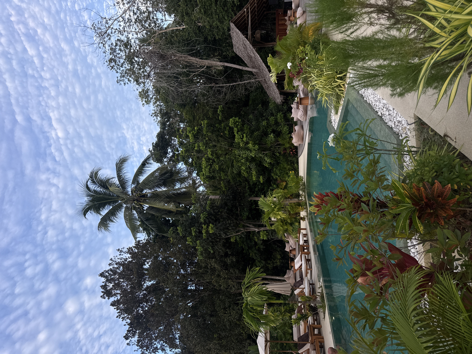 This is an outdoor scene at a resort in the Ko Pha-ngan District, Thailand. In the foreground, lush green and red foliage partially obscures a turquoise swimming pool. The pool has a textured grey step area and is surrounded by a light-colored walkway lined with white pebbles and more plants.
Beyond the pool, several empty lounge chairs with light cushions are arranged on a wooden deck. Further back, a thatched-roof pavilion with an open-air bar area is visible. The resort appears to be set within a dense jungle environment, with tall trees and palm trees forming a natural backdrop against a partially cloudy blue sky. There are no people visible in the image. The overall atmosphere is tranquil and tropical.