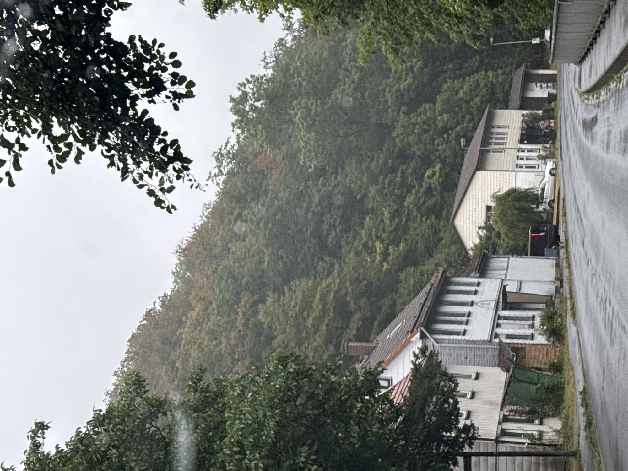 The image depicts a street scene in Walkenried, Germany, likely on a cloudy or rainy day, evidenced by the wet asphalt and overcast sky. The street curves gently to the right, with a sidewalk bordering it. On the left side of the street, two multi-story buildings are visible. The building closer to the foreground appears to be an older structure with a white facade and multiple windows. Adjacent to it, a second building, also white, has a prominent brick chimney on its roof. Further down the street, another building with a light-colored siding and a dark roof is situated. The background is dominated by a densely wooded hillside, with a mix of green and some reddish-brown foliage, suggesting a transition between seasons. A few trees with dark green leaves are also present in the foreground, partially obscuring the view of the sky. No people are explicitly visible in the image, but a dark-colored vehicle is parked to the right of the white-sided building. The overall atmosphere is quiet and rural, with the natural landscape playing a significant role in the scene.