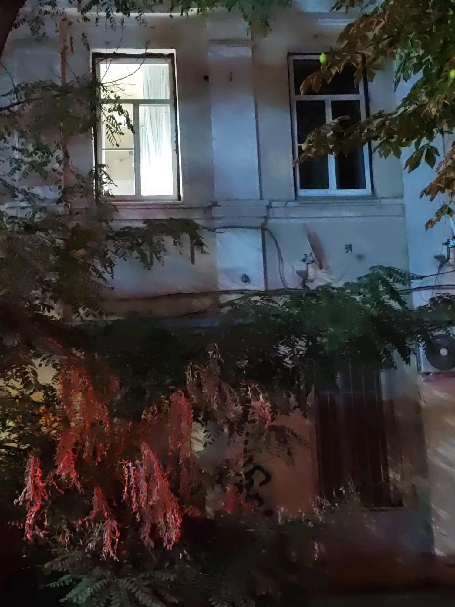The image depicts a nighttime view of a building facade in Rostov-on-Don, Russia, partially obscured by foliage. Two windows are visible on the facade. The left window is illuminated from within, with light filtering through sheer curtains. The right window is dark, with a visible grid covering it. Trees with dark green leaves and clusters of red or pink flowers are in the foreground and to the sides of the windows. The building appears to be old, with a light-colored, possibly stuccoed, exterior. There are some external fixtures on the wall, including a satellite dish, an air conditioning unit, and some wiring. The overall atmosphere is dimly lit, suggesting it was taken at night.
