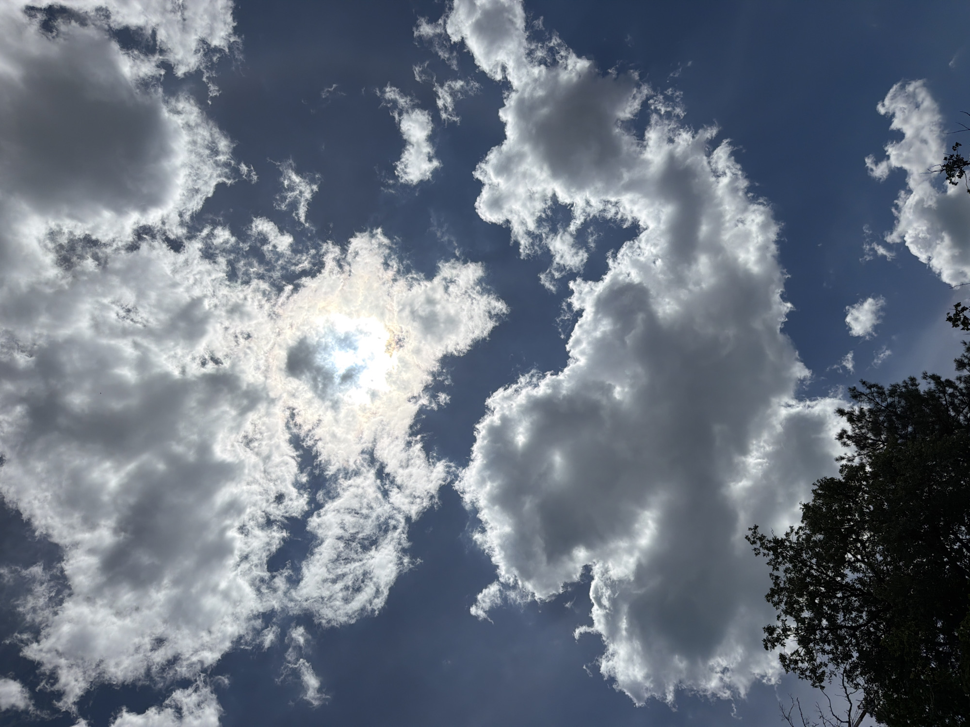 The image shows a bright, overcast sky with the sun partially obscured by clouds. The clouds are white and fluffy in some areas, and darker and more ominous in others. The sun's rays are visible, creating a halo effect around the sun. In the lower left corner of the image, the dark silhouette of trees is visible against the bright sky. The overall impression is one of a dramatic and dynamic sky. There are no people or specific landmarks visible to indicate a location in Alushta, Ukraine.