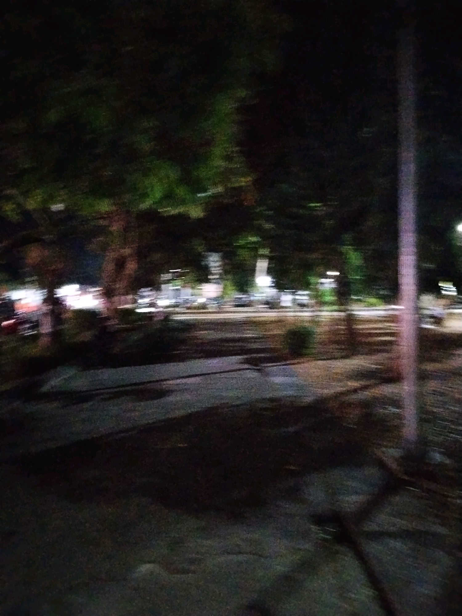 The image depicts a blurred scene at night, likely captured from a moving vehicle. The foreground shows a dark, uneven surface, possibly pavement or dirt, with shadows cast across it. In the mid-ground, trees with dense foliage are visible, illuminated by what appear to be streetlights and vehicle headlights. Several cars are discernible as blurred streaks of light, indicating they are in motion on a road. A vertical pole, possibly a streetlight or utility pole, is prominent in the right mid-ground. The background consists of more trees and some indistinct structures, suggesting an urban or semi-urban environment. The overall impression is one of a street scene at night, with limited visibility due to darkness and motion blur. Based on the context of Selong, Indonesia, this scene could represent a street in a residential or commercial area of the city.