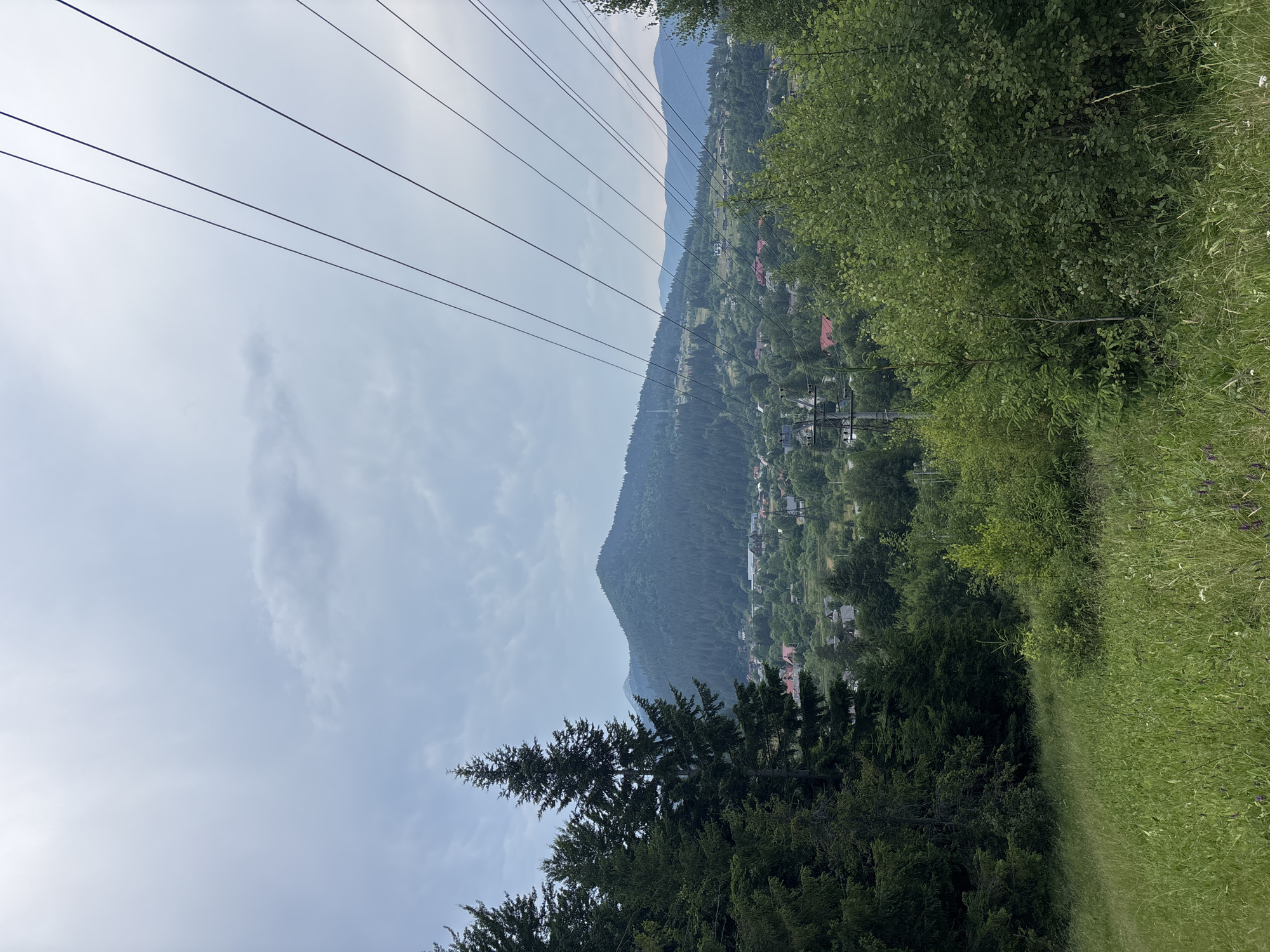 This is a vertically oriented image taken from a cable car ascending a mountain in Tatariv, Ukraine. The foreground is dominated by lush green trees and grass on the right, with a dense forest of coniferous trees on the left. Several parallel cable car wires stretch across the upper portion of the frame, disappearing into the hazy sky.
In the middle ground, a village is nestled into the side of a mountain. Houses with red roofs are scattered among the trees, suggesting a rural or semi-rural setting. The mountain slopes are covered in a mix of dense forest and cleared areas. The background features rolling mountains, with the furthest peaks appearing hazy and faded due to atmospheric perspective.
The sky is overcast with scattered clouds, indicating a potentially mild or slightly humid day. There is no visible text in the image. The overall impression is one of a serene mountain landscape, with the cable car offering a viewpoint over the scenic V-shaped valley and the distant mountain ranges. The activity taking place is passive transit via cable car, allowing for the observation of the natural beauty and the settlement below.