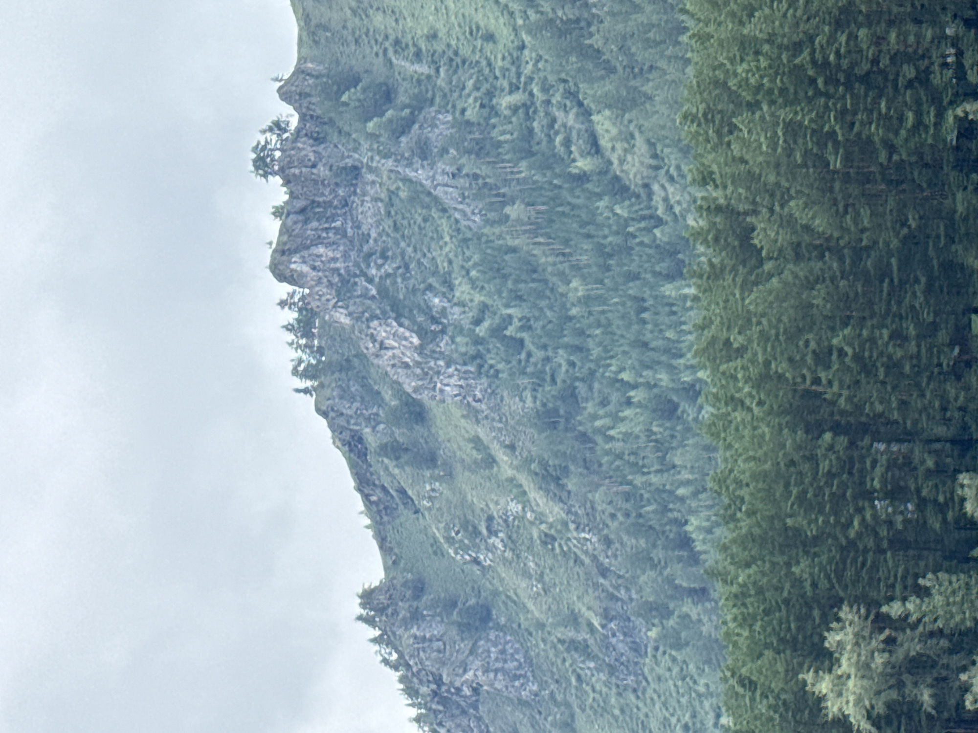 The image depicts a mountainous landscape under an overcast sky. In the foreground, a dense forest of dark green coniferous trees stretches across the frame. Behind the forest, the steep slopes of a mountain rise, covered in sparse vegetation and rocky outcrops. The upper portion of the mountain is characterized by jagged rock formations with scattered trees growing on them. The overall impression is one of a wild, natural environment, likely in a remote area. The city of Nizhnekayancha, Russia is mentioned as the location, suggesting this is a scenic vista from or near that settlement.