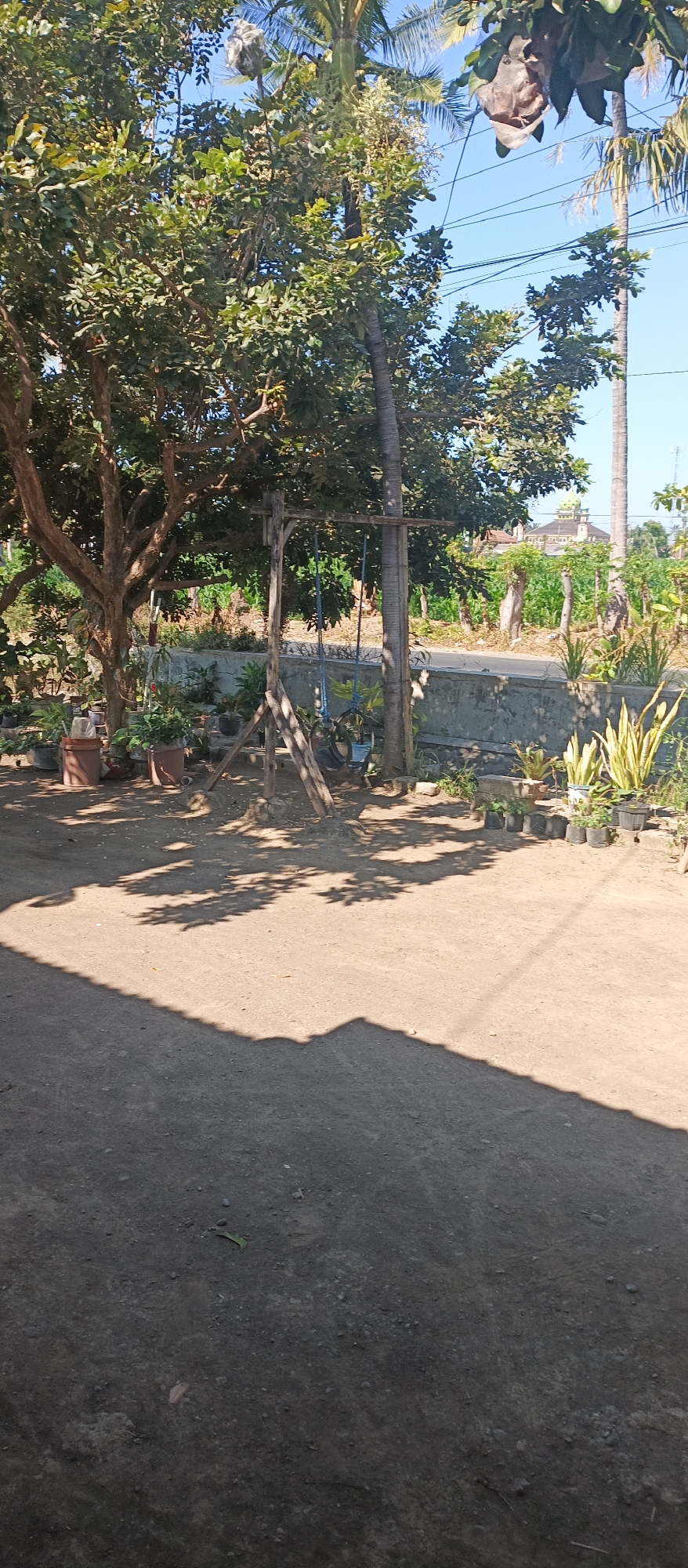 This image depicts an outdoor scene in Arjasa, Indonesia. In the foreground, a dirt ground is partially covered by the shadow of a structure not visible in the frame. Behind the foreground, a swing set constructed from wood and a palm tree trunk stands, with a tire swing hanging from its crossbar. To the left of the swing set is a mature tree with a thick trunk and dense foliage. In front of the swing set and tree, several potted plants are arranged, some with terracotta pots and others with black plastic pots. A low, gray concrete wall runs horizontally across the middle ground, separating the area with plants from a paved path or road behind it. Beyond the wall, a line of trees and some vegetation is visible. In the background, a building with a green dome, likely a mosque, can be seen, surrounded by trees and fields under a clear blue sky. Overhead power lines are also present, crisscrossing the sky. The overall impression is of a residential or community outdoor space with vegetation and some structural elements.