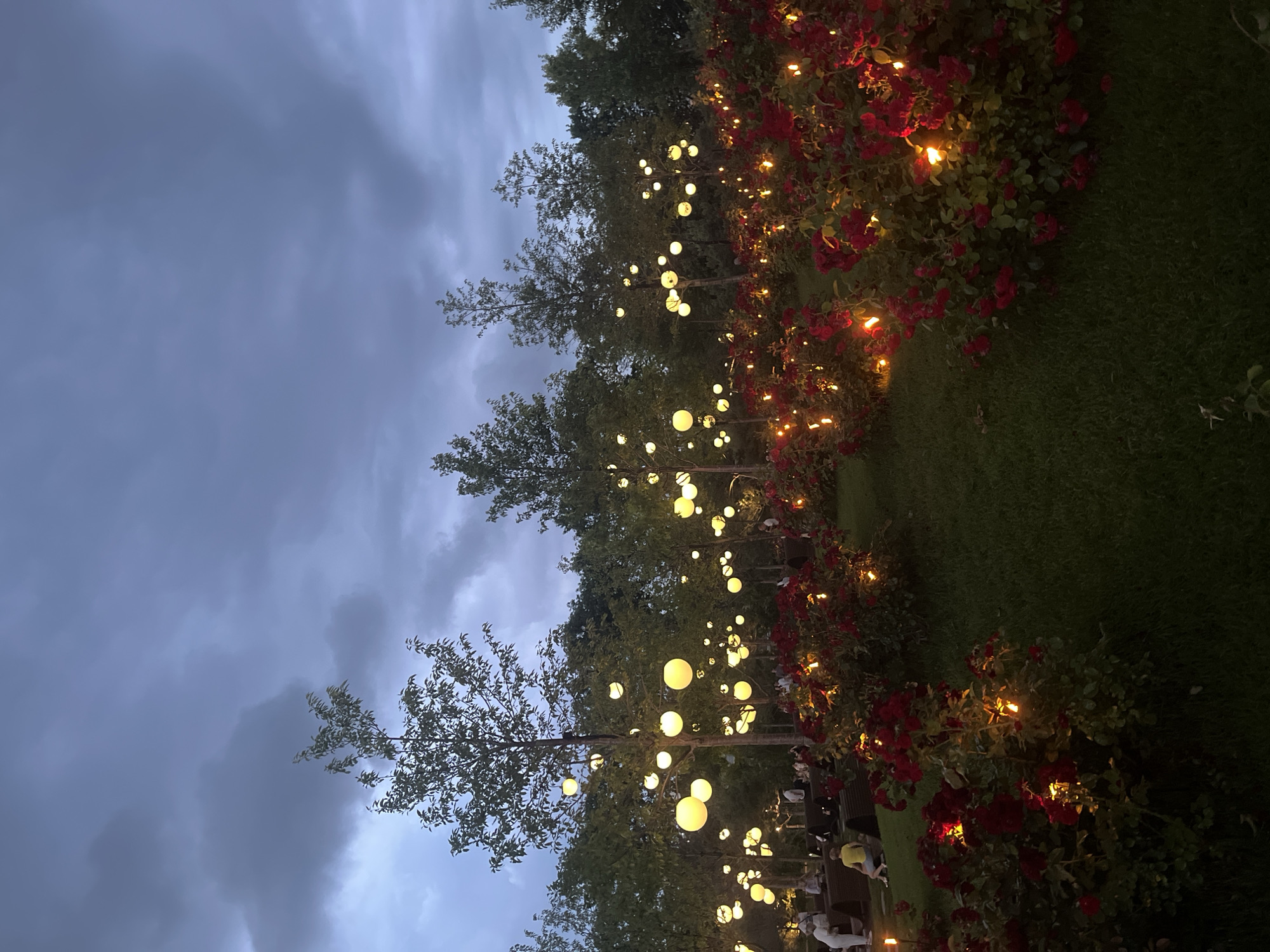 This is a nighttime photograph of a park or garden decorated with numerous round, glowing lanterns suspended from trees. Red rose bushes are illuminated by small, warm lights embedded within them, creating a festive and romantic atmosphere. In the background, silhouetted figures of people are visible, suggesting a gathering or event is taking place. The sky above is a deep, cloudy blue, indicating dusk or a cloudy evening. The scene is characteristic of the "Park of Flowers" (Park Tsvetschnikol) in Krasnodar, Russia, known for its elaborate floral displays and evening light installations.