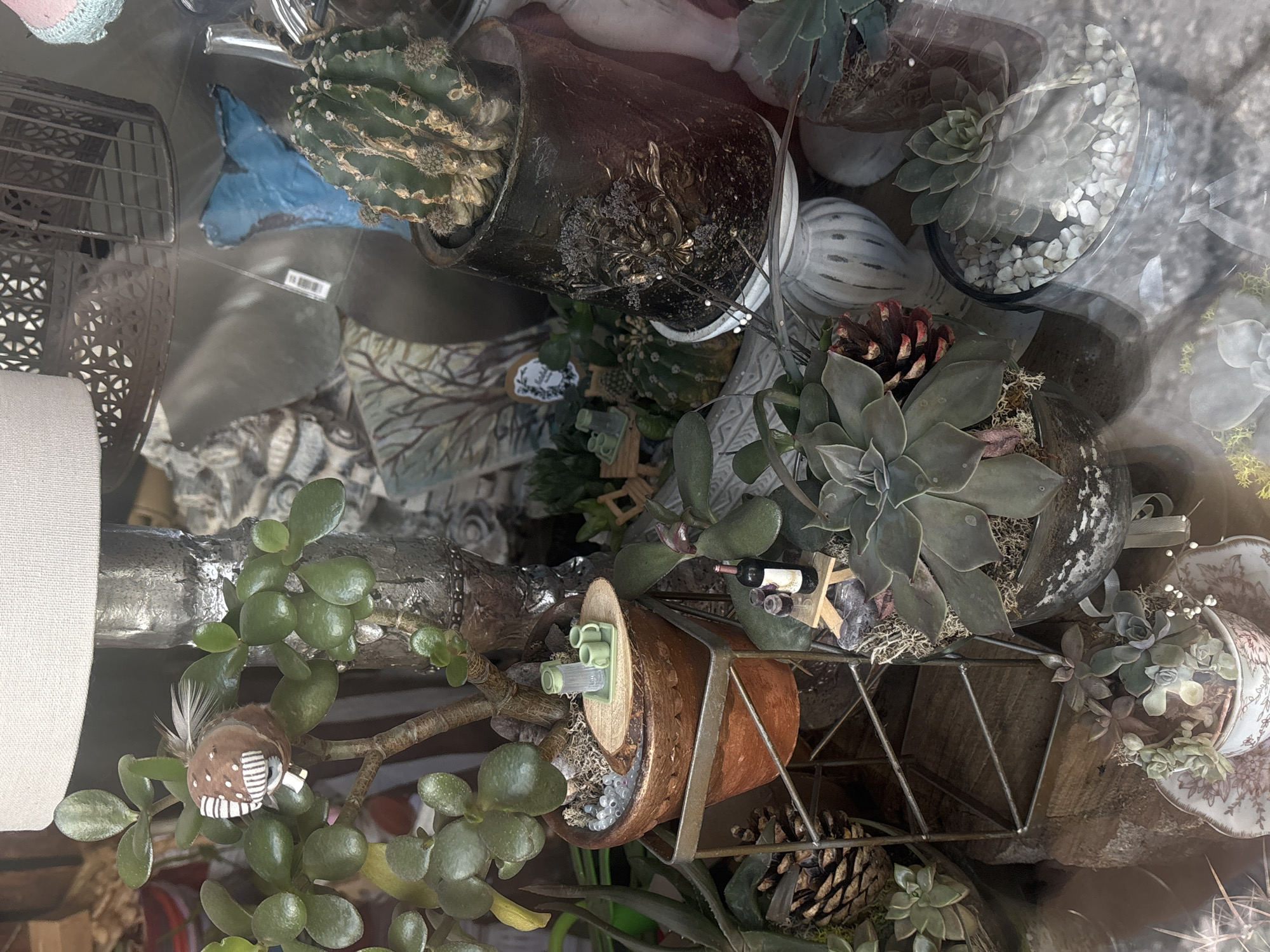 The image shows a collection of potted plants, including succulents and cacti, displayed in a window. The plants are in various containers, including ceramic pots, glass jars, and what appears to be a teacup. Accessories such as pinecones, miniature figurines (wine bottle and chairs), and decorative elements are interspersed among the plants. There's a bird figure with feathers perched on a jade plant. The items are arranged in a somewhat haphazard manner. The view through the window is blurry and unclear, possibly reflecting the street outside. Given the user's specifications, the location of the scene is assumed to be in the city of Varna, Bulgaria, though there are no identifiable landmarks or clues in the picture to confirm this independently.