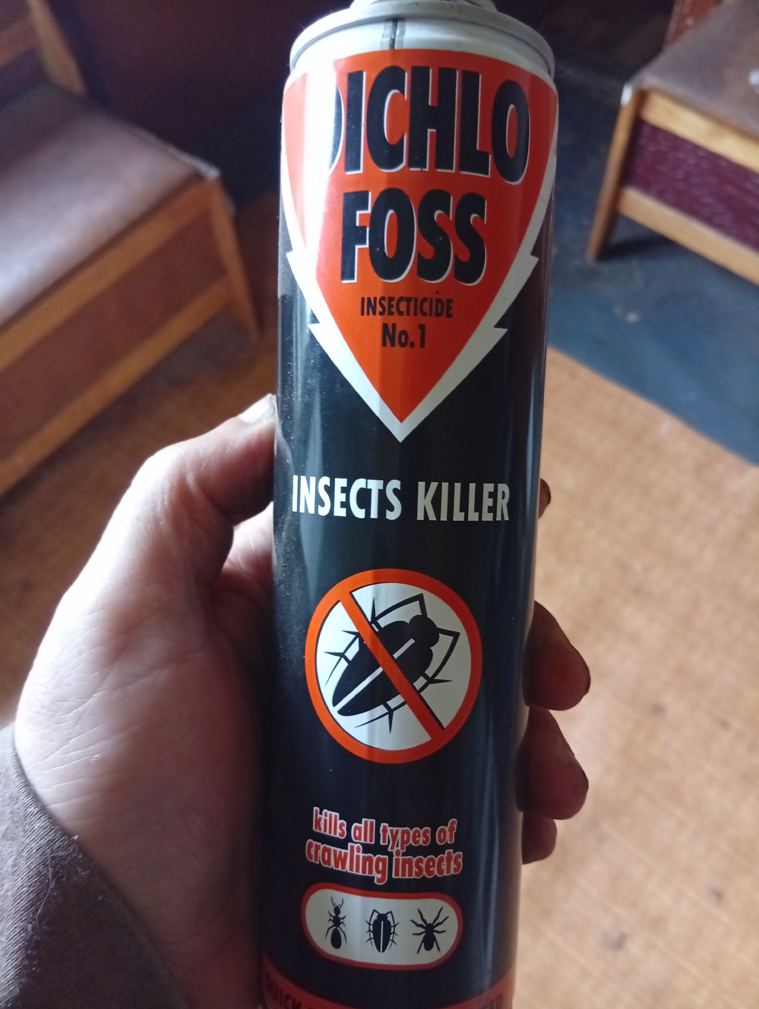 A person's hand, with visible fingernails and skin texture, holds a black aerosol can of "DICHLOFOSS INSECTICIDE No.1 INSECTS KILLER." The can features an orange and white logo with the brand name prominently displayed. Below this, "INSECTS KILLER" is written in white block letters. A circular red and white symbol depicts a crossed-out insect, and text below it reads, "kills all types of crawling insects." Small silhouettes of an ant and a beetle are also visible on the can. The background includes wooden furniture and a wooden floor, suggesting an indoor domestic setting. There is no indication of the specific location within Žygaičiai, Lithuania, or any specific actions or interactions occurring beyond the presentation of the product.