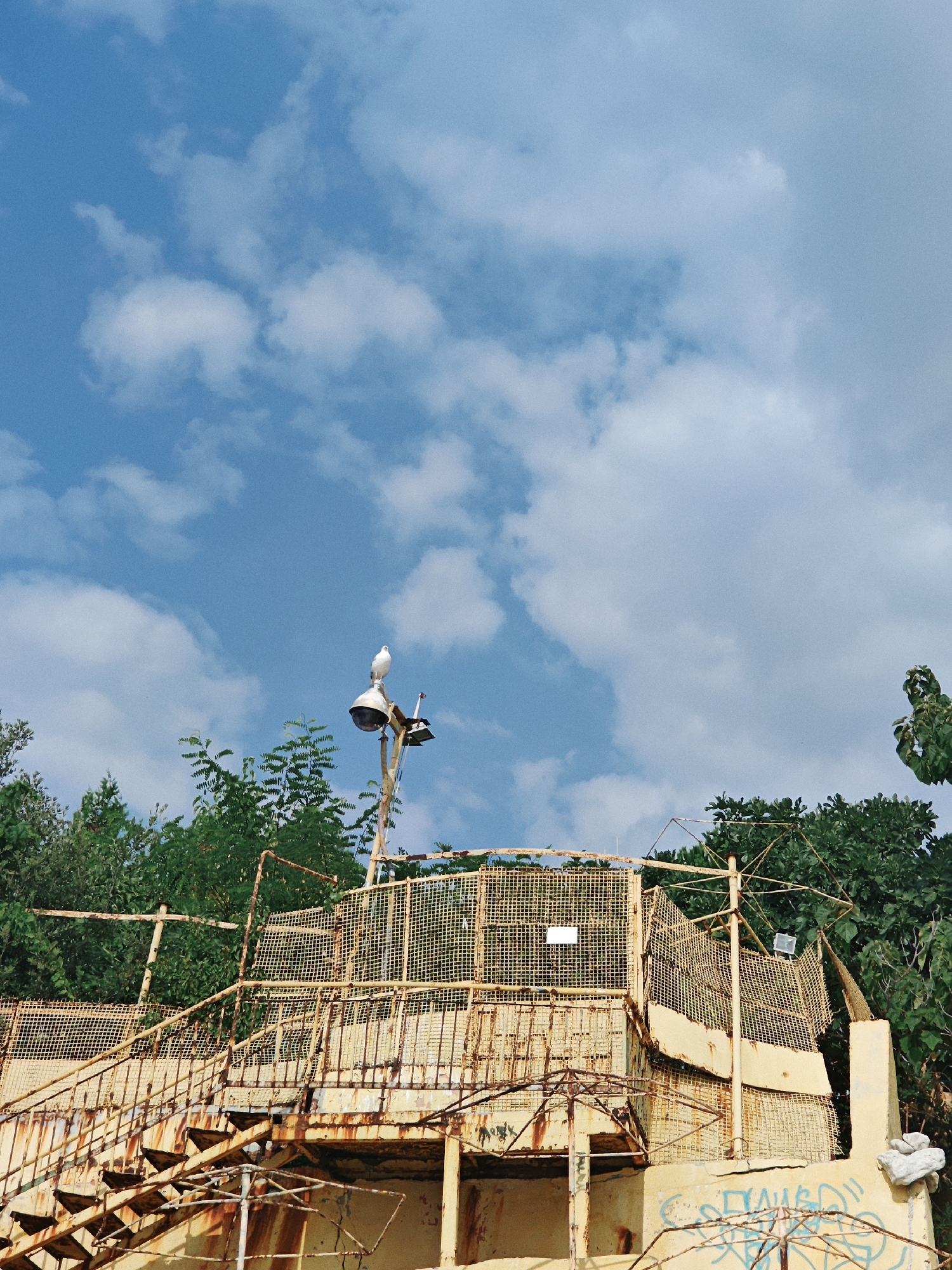 A low-angle, medium shot captures a weathered, yellowish structure in an outdoor environment under a bright blue sky dotted with white clouds. The structure appears to be an old, possibly abandoned, observation deck or overlook, characterized by rusty metal stairs, railings, and wire mesh fencing. A single white seagull is perched atop a lamppost that stands to the left of center, its silhouette stark against the sky. Lush green trees and foliage surround the structure, providing a natural contrast to the decaying man-made elements. Graffiti in a bright blue hue is visible on the lower concrete base of the structure. The overall scene suggests a place that was once maintained but has since fallen into disrepair, with nature beginning to reclaim it. The location is not specified, nor are there any people present.