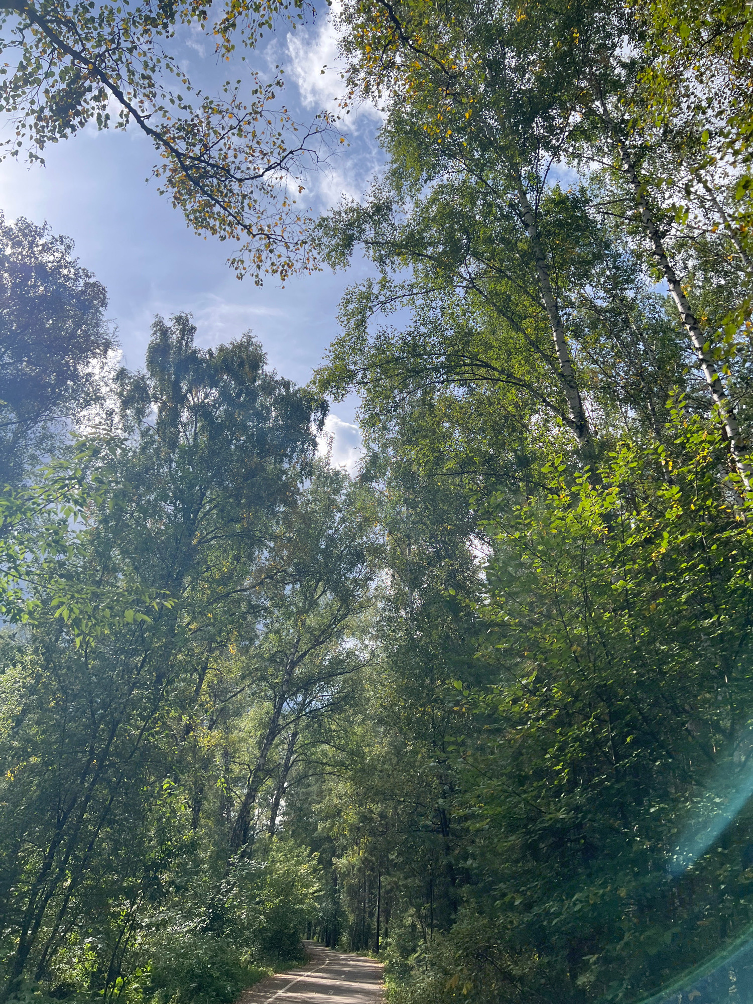 The image depicts a sun-dappled forest path in the city of Krasnoyarsk, Russia. Tall trees with lush green foliage line both sides of a dirt path, which curves gently into the distance. The sunlight filters through the leaves, creating a dappled effect on the ground and illuminating the scene. The sky above is a bright blue with scattered white clouds, and branches of trees are visible against the sky. The overall atmosphere is tranquil and natural, suggesting a peaceful walk or recreational area within the city.