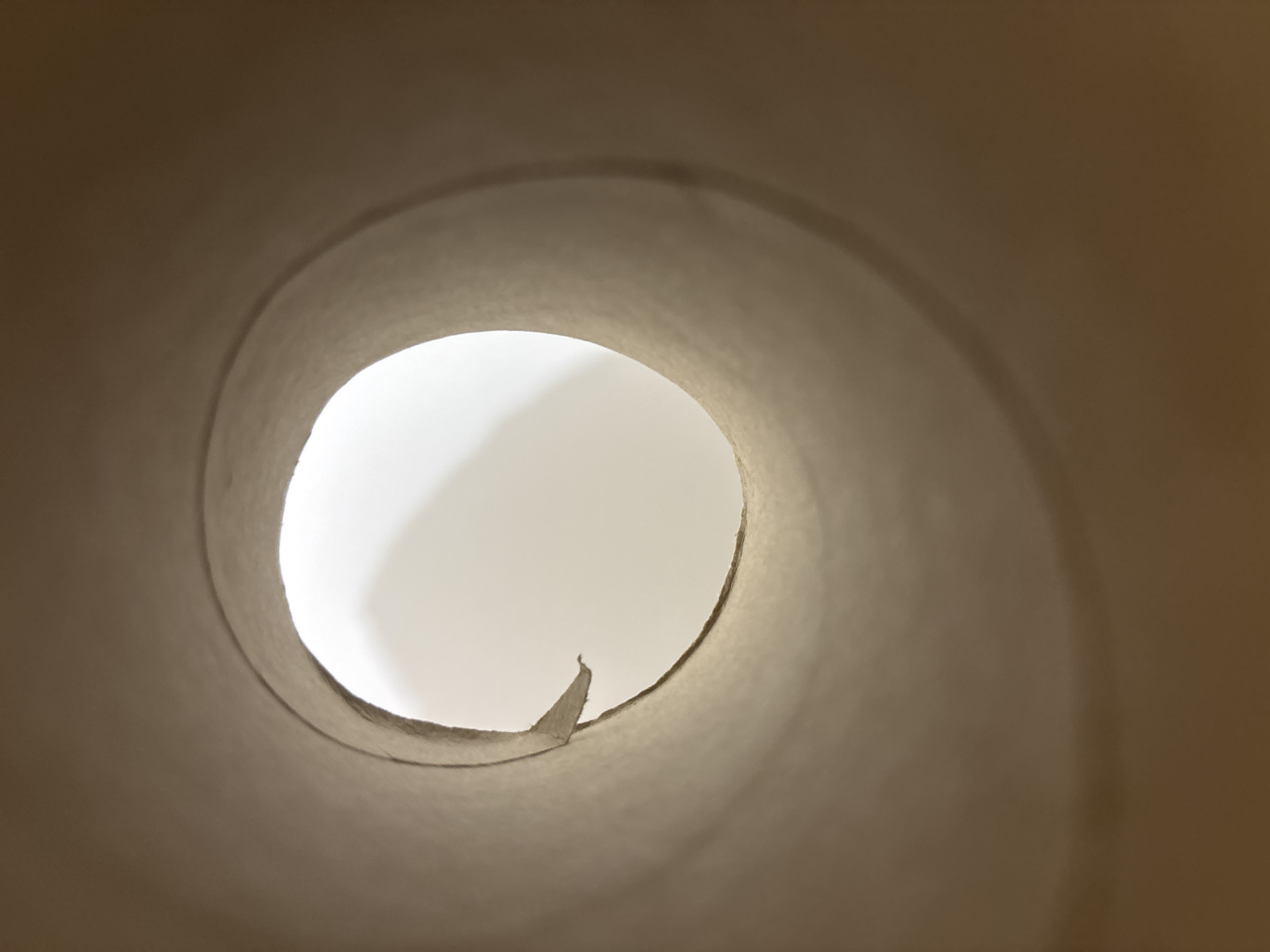 A close-up, low-angle shot looks through the hollow cardboard tube of a toilet paper roll. The inside of the tube is textured and a light brown color. The opening at the end of the tube is roughly circular, and a small piece of torn cardboard sticks out from the edge on the left side. The background seen through the tube is a bright, blown-out white, indicating a strong light source. The image is abstract and focuses on the circular shape and textures of the cardboard. The scene is indoors, likely a bathroom.