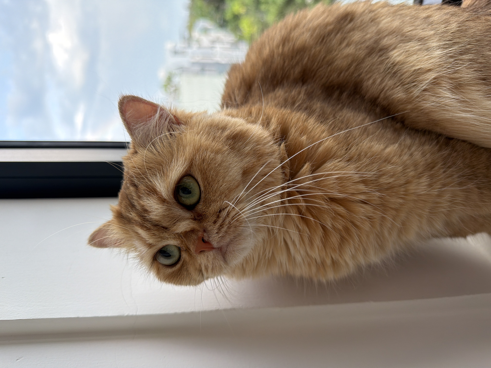 The image is a close-up, low-angle shot of an orange tabby cat resting on a white ledge. The cat is positioned horizontally, with its head on the left and body extending to the right. Its green eyes are looking directly at the camera with a curious and calm expression. White whiskers fan out from its muzzle. The background is blurred, showing a sky with white clouds and some greenery, suggesting an outdoor setting. A dark band runs horizontally across the top portion of the image, possibly indicating a window frame or ledge. The overall impression is one of a relaxed pet observing its surroundings. The scene likely takes place during the day, given the natural light. There is no visible text in the image.