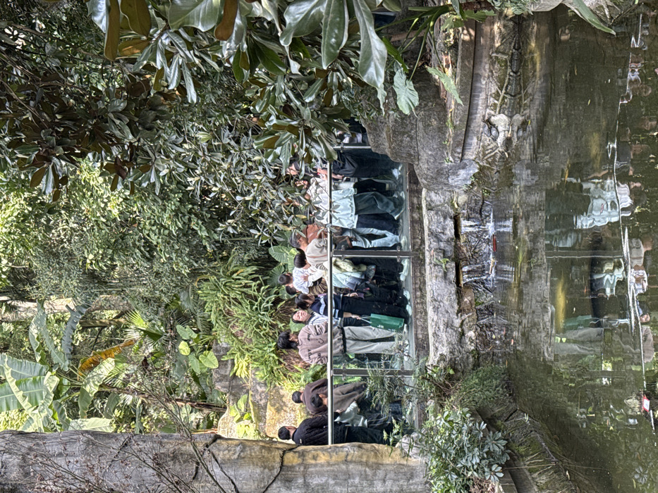 This image captures an outdoor scene in Jiulongpo District, China, featuring a crowd of people overlooking a body of water within a lush, densely vegetated environment.
In the foreground, a dark pond or stream reflects the surrounding greenery and individuals above. A small artificial waterfall cascades into the water from stone structures on the right. On the far right bank of the pond, a dark-feathered aquatic bird, possibly a duck or goose, is visible near the waterline.
Midground details include a viewing platform or walkway, supported by stone elements and secured by a waist-high glass barrier with a dark metal railing. Approximately 20 to 30 individuals, comprising adults and children of apparent East Asian ethnicity, stand on this platform. Most are positioned with their backs partially to the viewer, facing towards the right or forward, suggesting observation of an area beyond the frame or within the water. Their attire is casual, consisting of sweaters, jackets, and trousers in various earth tones and dark colors. One individual in the central-left holds a vivid green shopping bag.
The background is dominated by dense, tropical or subtropical foliage, including large banana leaves, various broad-leafed trees, and thick shrubbery. Stone steps and retaining walls are partially visible amongst the greenery on the left side. The scene is illuminated by natural light, indicating daytime conditions.