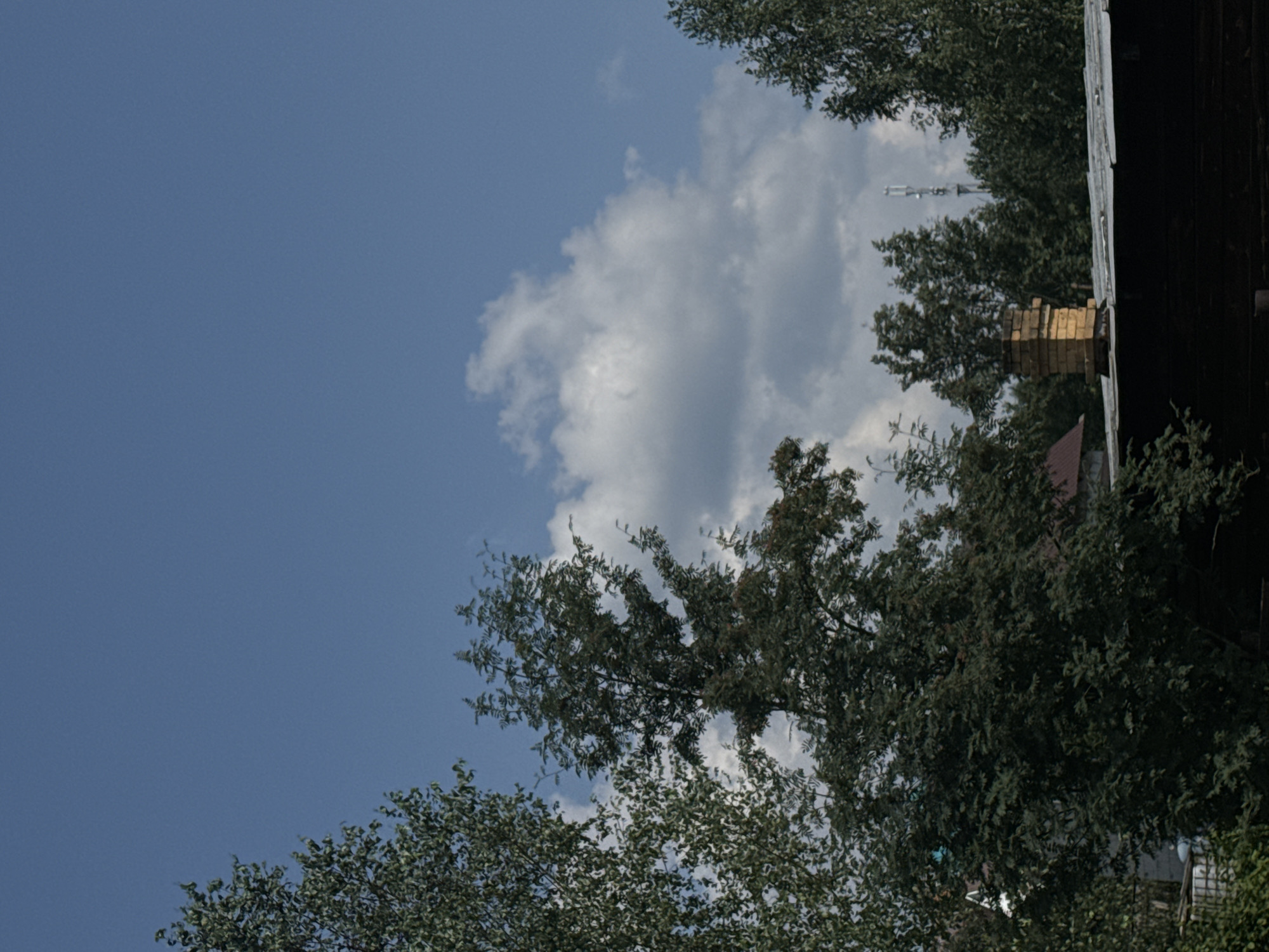 The image shows a view of a suburban or rural area, likely in Chernoistochinsk, Russia, on a clear day. In the foreground, the dark, weathered wooden roof of a building is visible, topped by a yellow brick chimney. Behind the roof, various trees with dense green foliage dominate the middle ground. In the background, a tall, slender telecommunications tower is visible in the distance, standing above the treeline. The sky is a vibrant blue with scattered white clouds. The scene is static and appears to be a candid shot, capturing the natural elements and man-made structures of the environment. There are no people or animals present in the frame, and no discernible actions or interactions are taking place.