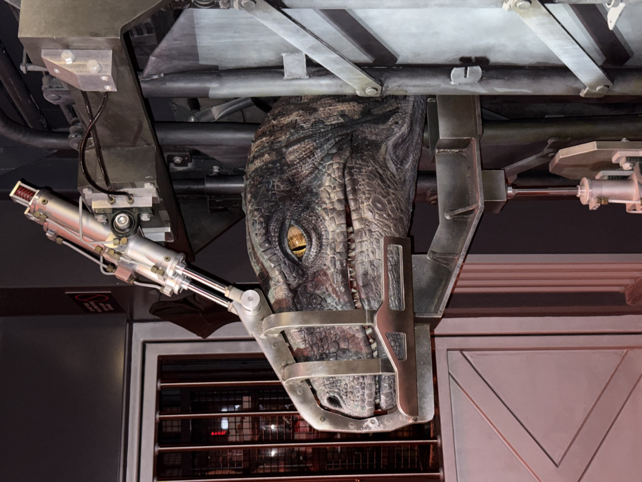 The image displays a highly detailed animatronic head of a dinosaur, consistent with a Velociraptor from the Jurassic Park franchise, located within Universal's Islands of Adventure in Orlando, Florida, United States. The animatronic exhibits mottled grey-blue-brown scaly skin, a sharp yellow-orange eye with a vertical slit pupil, and a partially open mouth revealing teeth. A robust silver-colored metal muzzle is fitted over the creature's snout, connecting to a complex overhead apparatus of hydraulic or pneumatic cylinders, hoses, and structural metal supports. This machinery is integrated into a dark, industrial-style framework. To the left of the animatronic, a grey metal door or panel stands beside a barred window, through which blurred red and yellow lights are visible in the background. A partially obscured red warning sign with white text is affixed to the dark wall above the door. No human subjects are present.