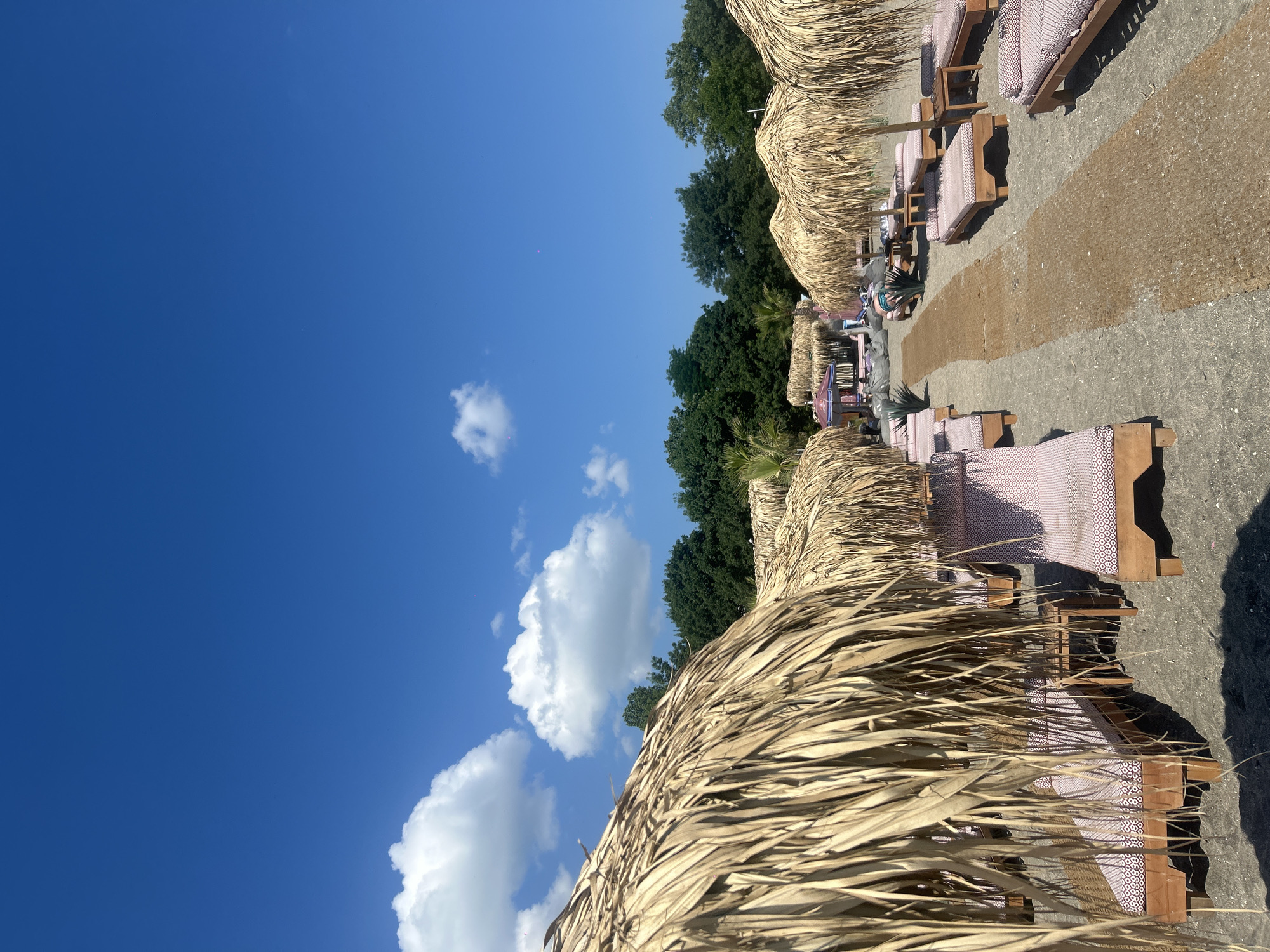 This image shows a beachside resort with thatched-roof umbrellas and lounge chairs. The beach appears to be located in Burgas, Bulgaria, as indicated by the presence of palm trees, which are common in the region. The sky is a clear blue with a few scattered white clouds. The sand is dark gray, and there is a walkway made of natural matting leading through the lounge chairs. In the background, lush green trees line the horizon. Several lounge chairs, some with pink and white patterned cushions, are visible. A few people are seen in the distance, near some structures that may be beach bars or cabanas. The overall scene suggests a relaxing and sunny day at the beach.