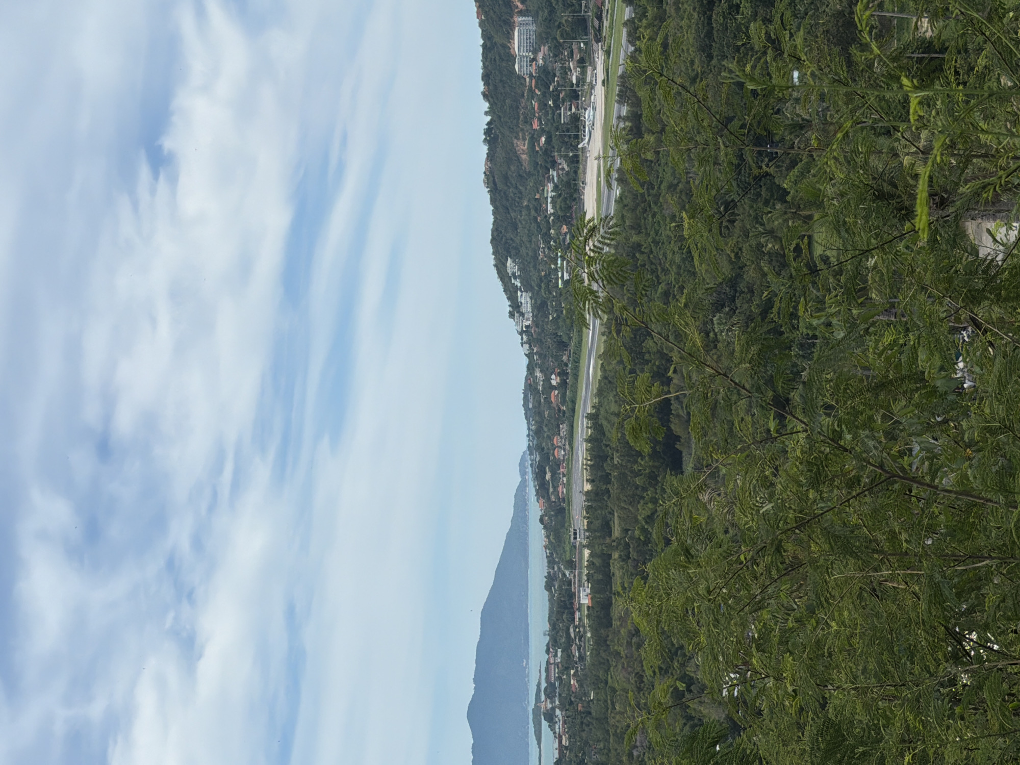 This image presents a panoramic view of an airport and its surrounding landscape in Ban Bang Rak, Thailand. In the foreground, lush green foliage occupies the lower portion of the frame, with numerous trees and branches obscuring the view of what lies beyond. As the eye moves towards the middle ground, an airport runway is visible, stretching across the scene. Several aircraft are present on the tarmac, indicating active operations. Beyond the airport, a town or city is spread out, characterized by a collection of buildings and houses nestled amongst hills. In the background, a large, verdant mountain rises majestically, meeting the horizon. The sky above is a soft blue, adorned with scattered white clouds. The overall scene depicts a coastal town with an active airport situated in a tropical environment.