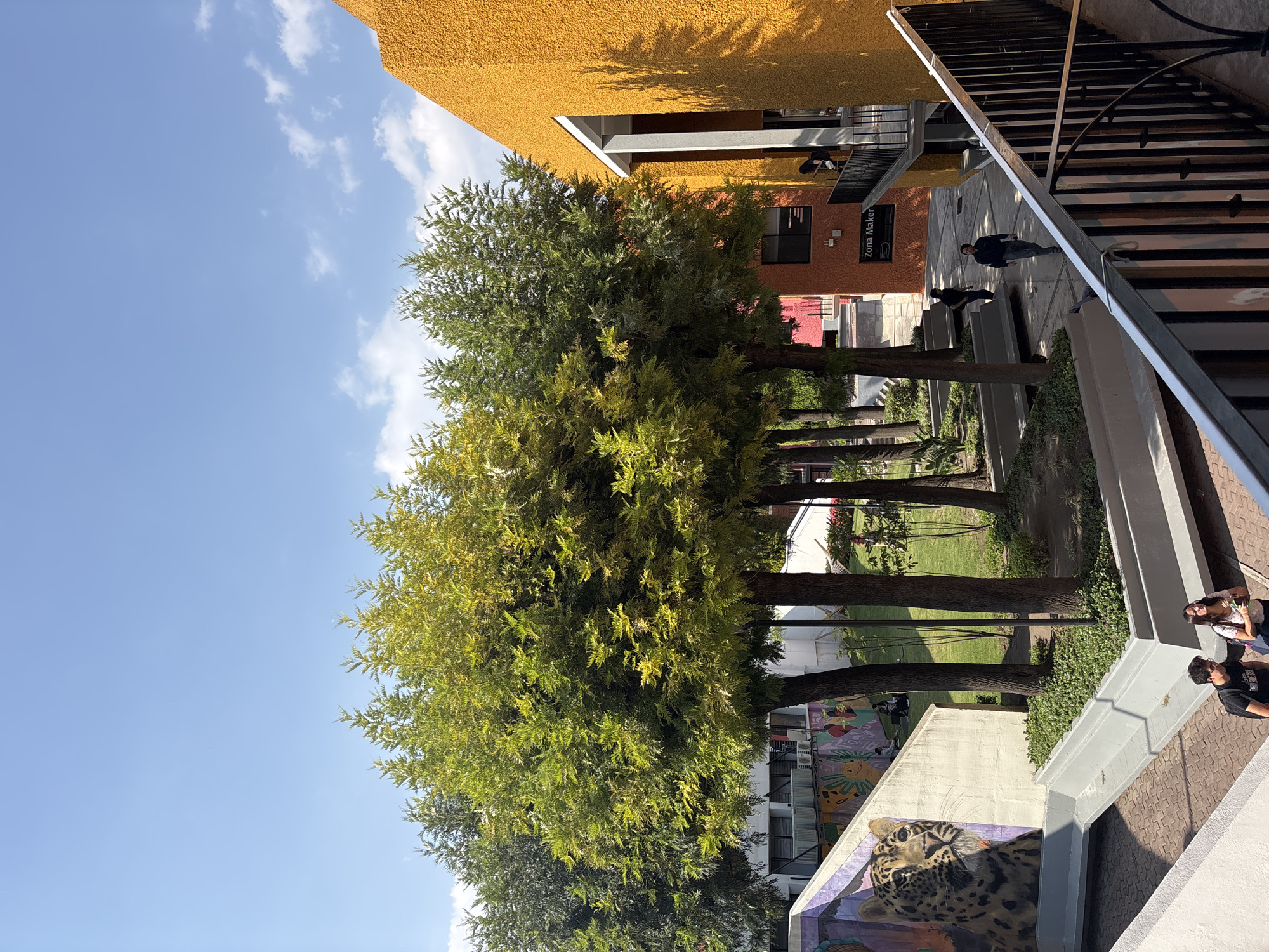 This image shows a street scene in San Andrés Cholula, Mexico. In the foreground, a line of trees stretches down the street, flanked by low walls. One wall features a mural of a jaguar's face. Behind the trees, there's a grassy strip with other trees and glimpses of buildings, including a red structure and a white multi-story building with windows and air conditioning units. On the right, a high brick-paved walkway has a metal railing and a concrete wall. Two people are visible on the walkway, dressed in casual clothing. In the background, there's an orange building with a sign that reads "Zona Maker." Two men are walking on the walkway. The sky is blue with scattered clouds.