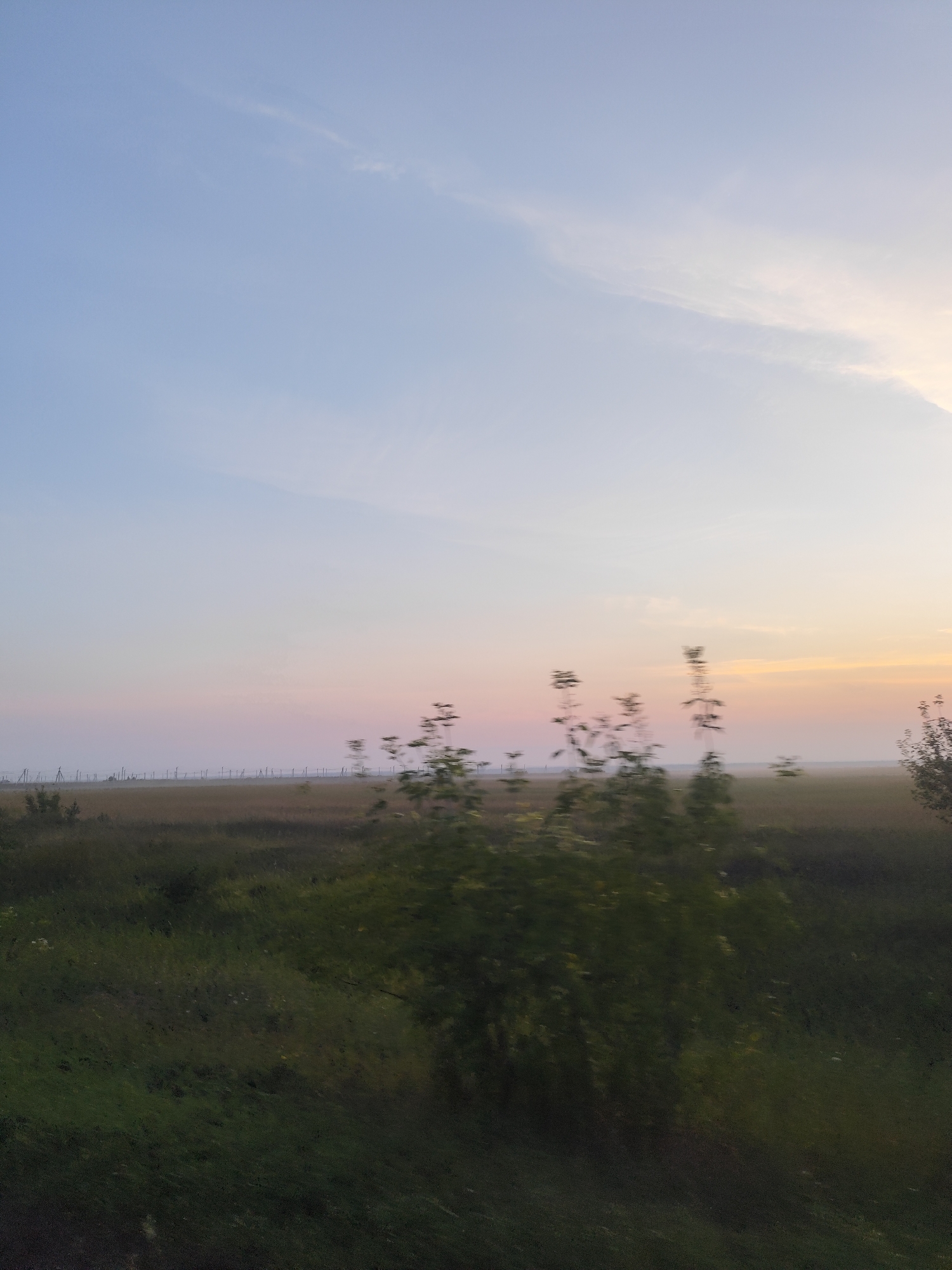 The image depicts a natural landscape at dawn or dusk, likely on the outskirts of Petropavl, Kazakhstan, given the presence of fencing that could demarcate agricultural land or a protected area. The sky transitions from a pale blue at the top to soft pink and orange hues near the horizon, indicating a low sun angle. In the middle ground, a flat expanse of grassland or cultivated field is visible, with a line of fence posts stretching across it. A thin layer of mist or fog hovers above the field. In the foreground, out-of-focus green foliage and branches partially obscure the view, suggesting the photograph was taken from a moving vehicle or hand-held with a slight shake. No people are present in the image. The overall impression is one of quiet and open space, characteristic of rural or semi-rural environments.