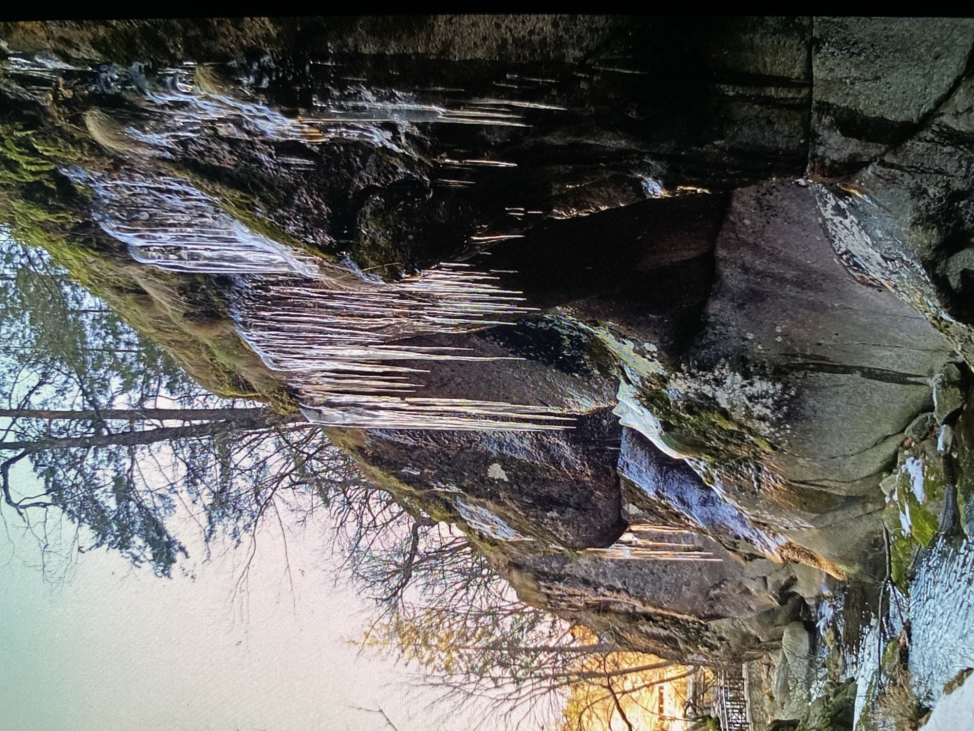 The image displays a serene winter landscape, likely a gorge or a section of a rocky riverbank in Bankya, Bulgaria. The primary subjects are numerous long, translucent icicles hanging vertically from dark, rugged rock formations that appear to form an overhang or cliff face. These rocks are textured and exhibit patches of green moss, contrasting with the stark white of the ice.
Bare tree branches, intricate and leafless, are silhouetted against a bright, hazy sky on the left side of the frame, indicating cold weather, probably winter or very early spring. Warm, golden light, suggestive of either early morning or late afternoon sun, illuminates some of these branches and creates reflections on the icicles and the water below. A small stream or waterfall flows over rocks on the right side of the image, where additional ice and some moss are visible. In the bottom left corner, a dark structure with visible railings, likely a bridge or a walkway, can be partially discerned, hinting at an accessible viewpoint for this natural spectacle.
The overall scene captures the quiet beauty of a frozen natural environment. No people are visible, and there is no visible text. The presence of extensive icicles confirms cold weather conditions.