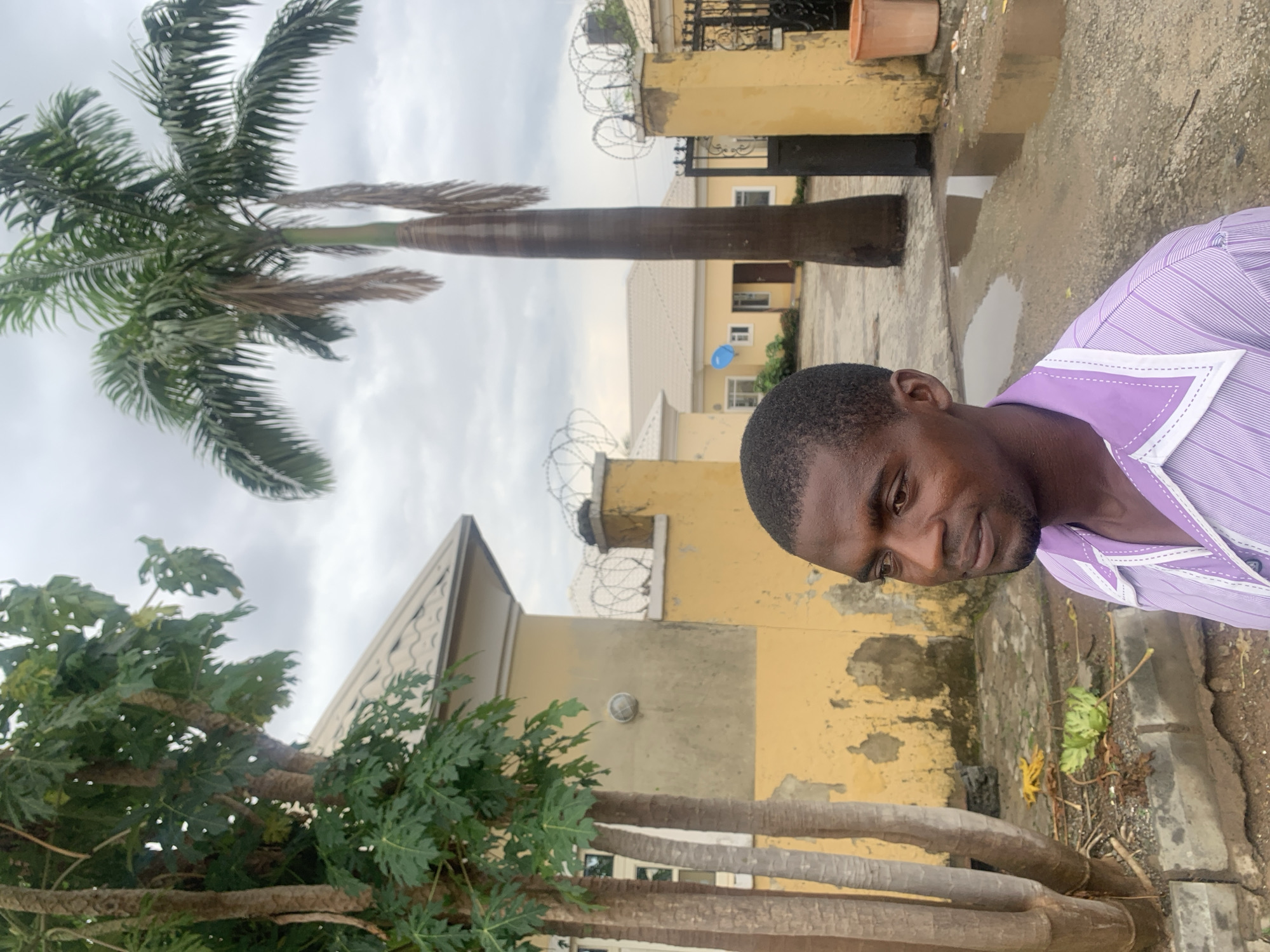 A portrait of a Black man in his late 20s or early 30s, wearing a light purple striped button-down shirt with white trim on the collar and placket, is captured in an outdoor setting. The man is looking to his right, with a neutral expression. Behind him, a tall palm tree dominates the background, its fronds creating a dark silhouette against a cloudy sky. To his left, a papaya tree with thick, textured trunks and large green leaves is partially visible. The man appears to be standing in a paved courtyard, with puddles of water on the ground, suggesting recent rain. In the background, a yellow building with a light-colored roof and barred windows is visible. A black metal gate with decorative elements is also present. The scene is likely within a residential compound or a public space in Abuja, Nigeria, given the common architectural styles and flora. The overall impression is one of a moment captured in a tropical, urban environment.