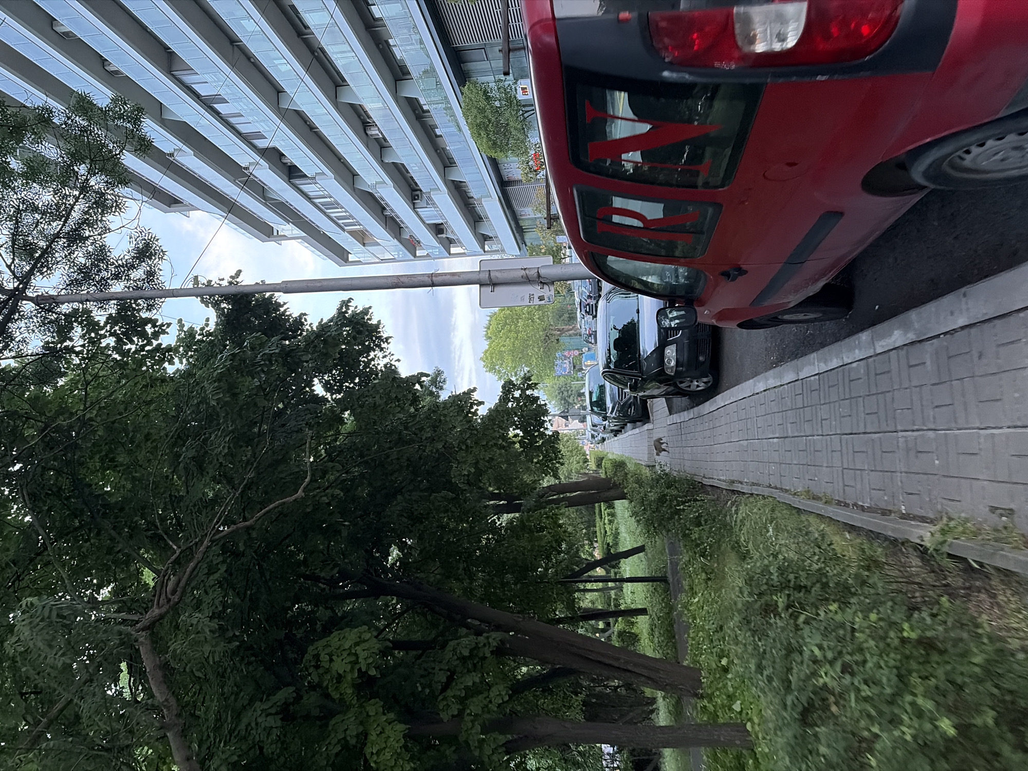 The image, taken in Burgas, Bulgaria, presents an urban street scene during the daytime under a bright, partly cloudy sky. On the left, dense, leafy green trees line a grassy area, casting shadows. To the right, a paved sidewalk, constructed from rectangular block pavers, runs parallel to a street filled with parked vehicles. A small, light-colored cat is visible walking along the sidewalk, moving towards the right side of the frame.
The most prominent vehicle is a red van or car, partially seen on the right, which has large red letters "NYN" painted on its side window. Behind this red car, a line of other cars, mostly dark-colored, are parked along the curb.
In the background, a tall, modern building dominates the skyline. It features a distinctive facade composed of numerous horizontal light-colored bands and extensive glass windows. A sign displaying the text "ROYBG" is visible on the building's exterior. A grey street pole stands near the center of the image, between the trees and the street. The scene depicts a blend of contemporary architecture, urban infrastructure, and natural elements.