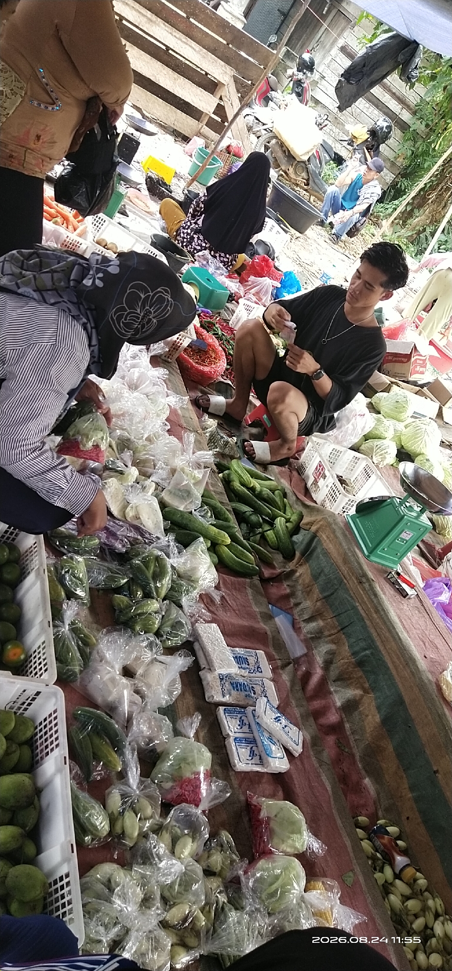 This image captures a scene at a market in Tamiang Layang, Indonesia. The foreground is dominated by a colorful striped tarp spread on the ground, laden with various fresh produce. Several individuals are present, engaged in activities typically seen at a marketplace.
On the left side of the image, a person wearing a striped long-sleeved shirt and a patterned headscarf is partially visible, reaching towards a plastic-wrapped bundle of produce. Next to them, a white plastic basket holds a collection of green fruits, likely mangoes.
In the center of the frame, a young man in a black t-shirt and shorts is crouched down, holding a small item, possibly money or a receipt, in his hands. He is sitting on a red stool. A green industrial weighing scale is positioned to his right, near several heads of cabbage.
Further back, other individuals and market elements are visible. A person in a black hijab and a floral patterned dress is seated. In the background, motorcycles are parked, suggesting transportation associated with the market. The overall setting appears to be an outdoor market stall, with wooden structures and foliage hinting at the surrounding environment.
The produce on display includes cucumbers, various leafy vegetables, and what appear to be bundles of noodles or spices. The items are predominantly wrapped in clear plastic, a common practice for hygiene and presentation in markets. The presence of a weighing scale indicates that transactions are taking place. The timestamp at the bottom right corner of the image indicates the date and time as 2026.08.24 11:55.