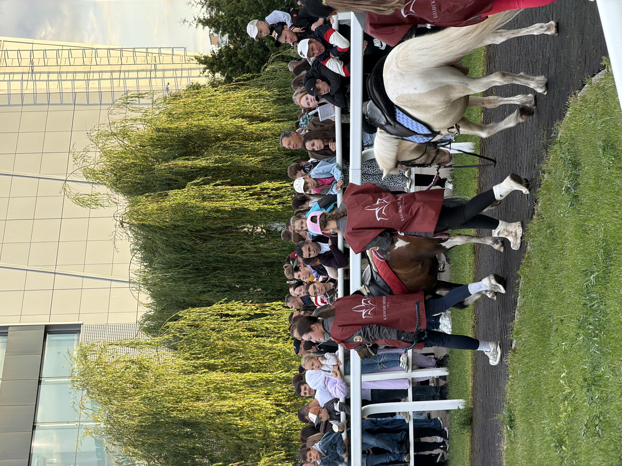 A crowd of people are gathered behind a white fence, watching a pony ride. Two young women, dressed in matching red vests with a white emblem and dark pants, are leading a brown pony and a light-colored pony. The woman on the left is holding the reins of the brown pony, while the woman on the right is leading the light-colored pony. The ponies are saddled. The background consists of tall, weeping willow trees and a modern building with a glass facade and white panels. The scene appears to be outdoors, possibly at an event or festival, with a grassy area in the foreground.