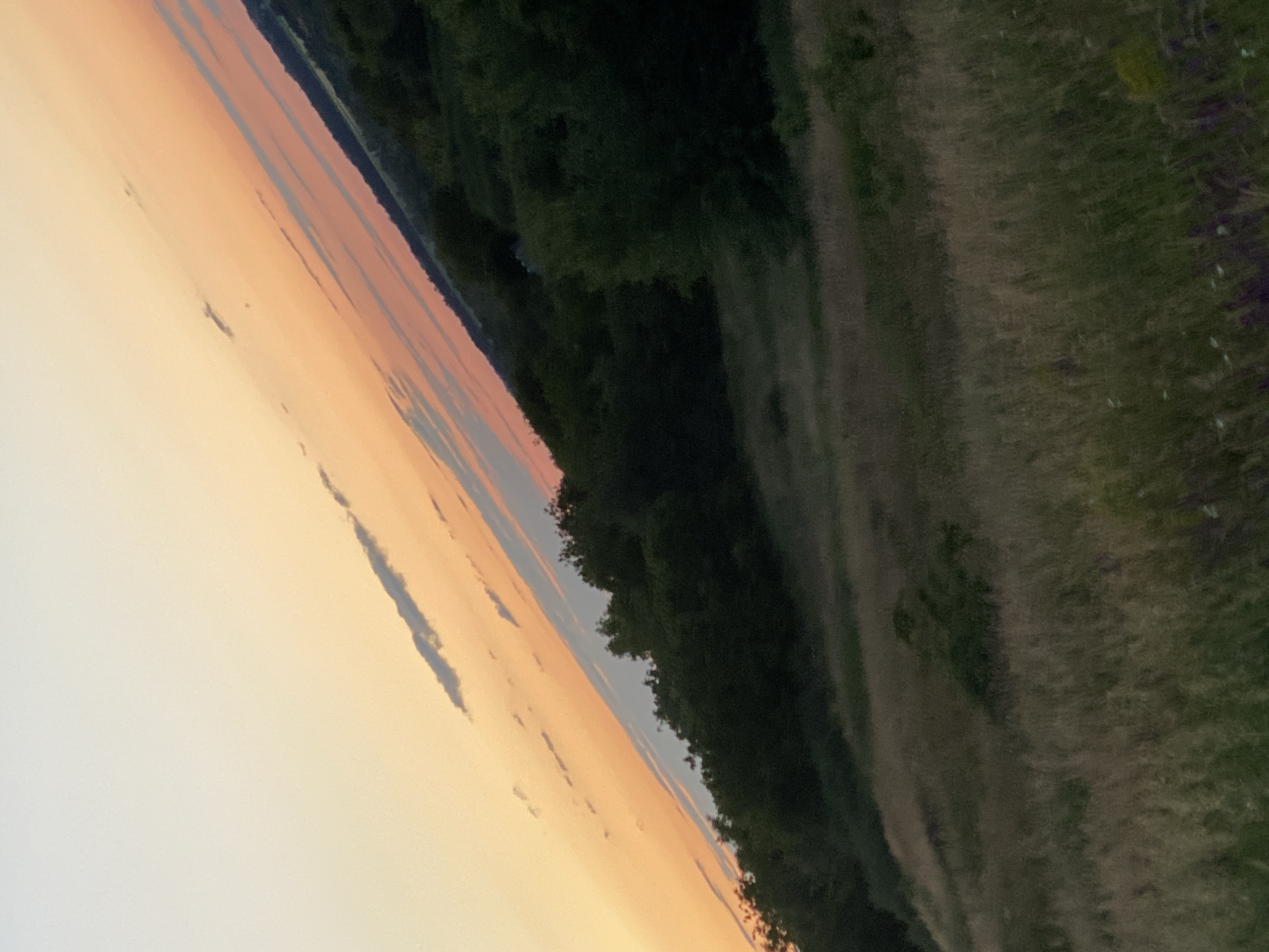 The image depicts a landscape scene in Ustyvytsia, Ukraine, with a diagonal composition. The upper portion of the image is dominated by a sky filled with soft, gradient colors of orange and pale yellow, indicative of a sunset or sunrise. Thin, wispy clouds are scattered across the sky. Below the sky, a lush, dark green tree line stretches across the frame, forming the base of a rolling hill. The hill itself is covered in a mixture of dry, golden-brown grass and patches of darker green vegetation. The foreground shows a dense field of tall grass with hints of purple and white wildflowers. The overall impression is one of a rural, natural environment during twilight. There are no people or specific man-made structures visible in the image.