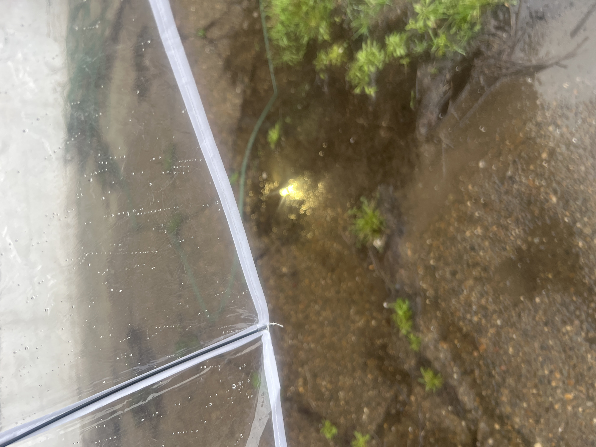 A photograph taken in Chaikovsky, Russia shows the lower portion of a translucent, possibly plastic, rectangular structure with white trim. The view through the translucent material shows a murky, gravelly surface with patches of green vegetation. A section of dark debris is visible in the upper right quadrant. Light reflects in the center of the image. The ground appears wet or submerged.