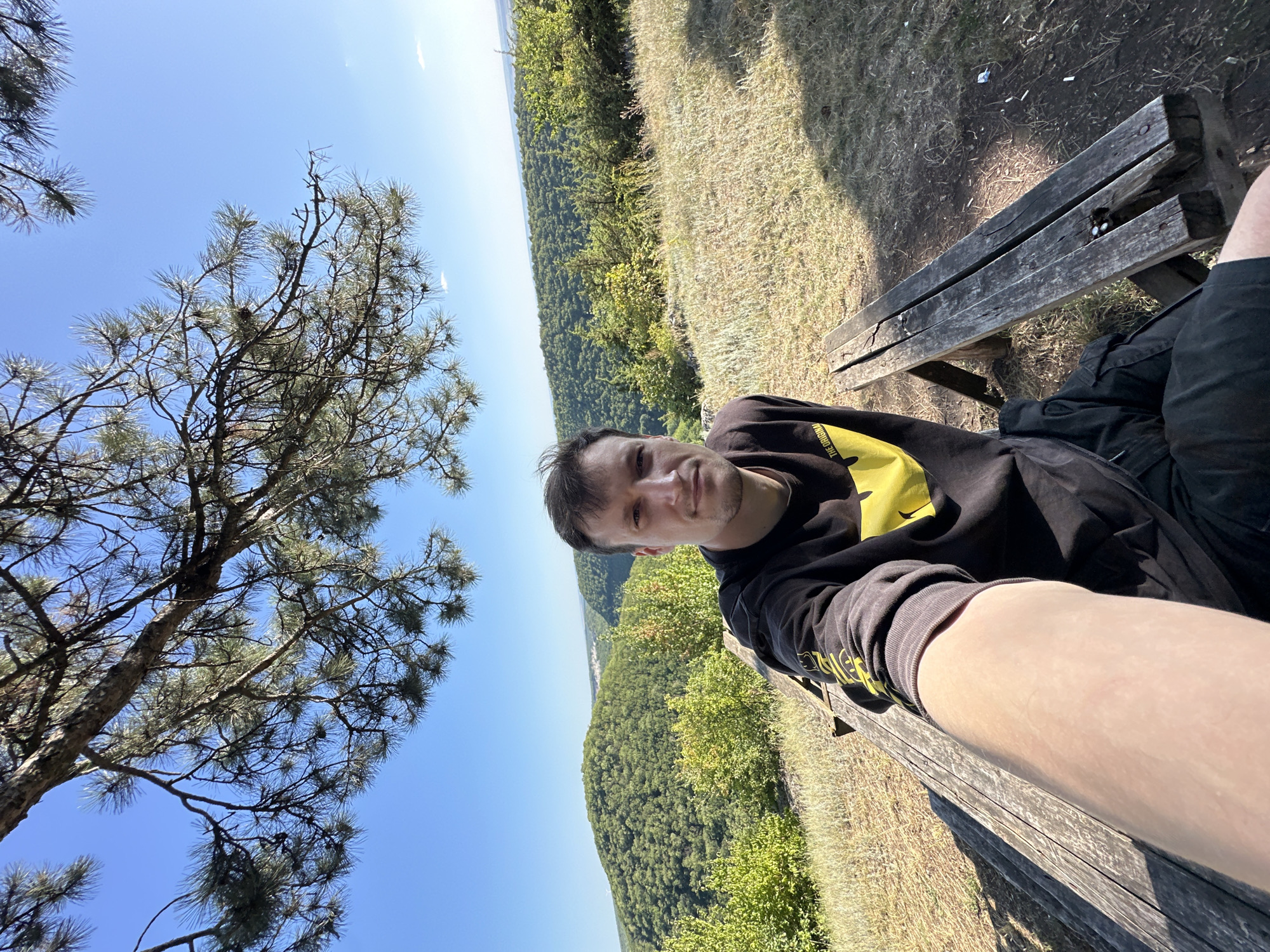 A man is taking a selfie while sitting on a wooden bench on a hill. The man is wearing a black hoodie with a yellow graphic on it and black pants. He has short brown hair and is looking at the camera with a slight smile. The bench is weathered and made of rough-hewn wood. In the background, a dense green forest stretches out below the hill, with a clear blue sky above. A pine tree with sparse needles is visible on the left side of the image. The sun is shining brightly, indicating it is daytime. The scene appears to be a scenic overlook in a natural setting. The location is identified as Pryvorottia Druhe, Ukraine.