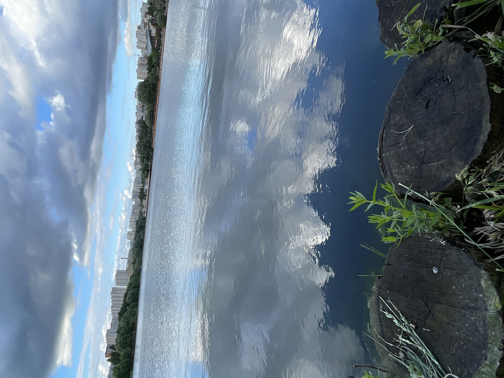 The image depicts a serene lake scene on a cloudy day in Moscow, Russia. The foreground features several weathered, dark wooden stumps with scattered green grass and reeds growing around them. The lake occupies the majority of the frame, its surface reflecting the dramatic sky above, with streaks of blue sky peeking through the heavy, gray clouds. In the background, a line of apartment buildings and trees runs along the distant shore, indicating an urban setting. The overall atmosphere is tranquil, with the natural elements of the lake and sky dominating the composition.
